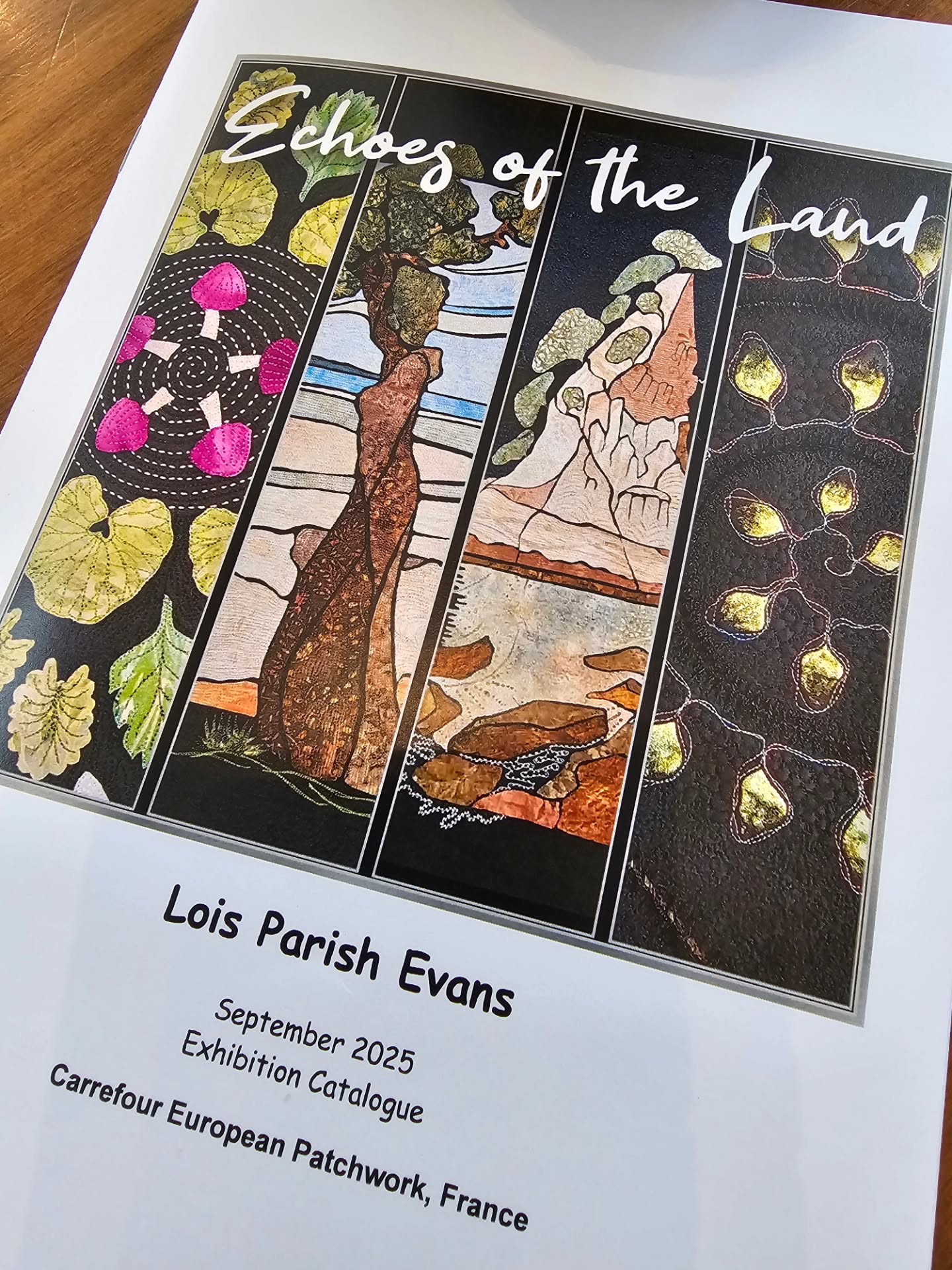 Wow, a year ago we were setting up my Echoes of the Land exhibition at Carrefour EPM in Sainte-Marie-aux-Mines, France. What a great experience and how fast the year has gone since then. I believe Carrefour is once again on, all the best for this years exhibitions.
#textileartexhibition #artquilts #landscapeartquilts #contemporarystitch