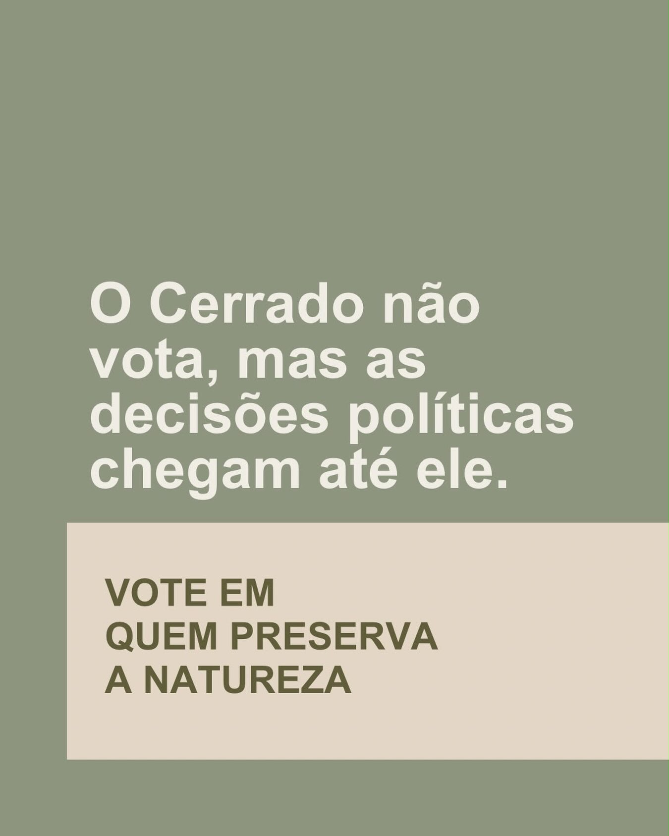 Manter o Cerrado de pé é uma decisão política. Não se esqueçam disso no dia 4 de outubro.