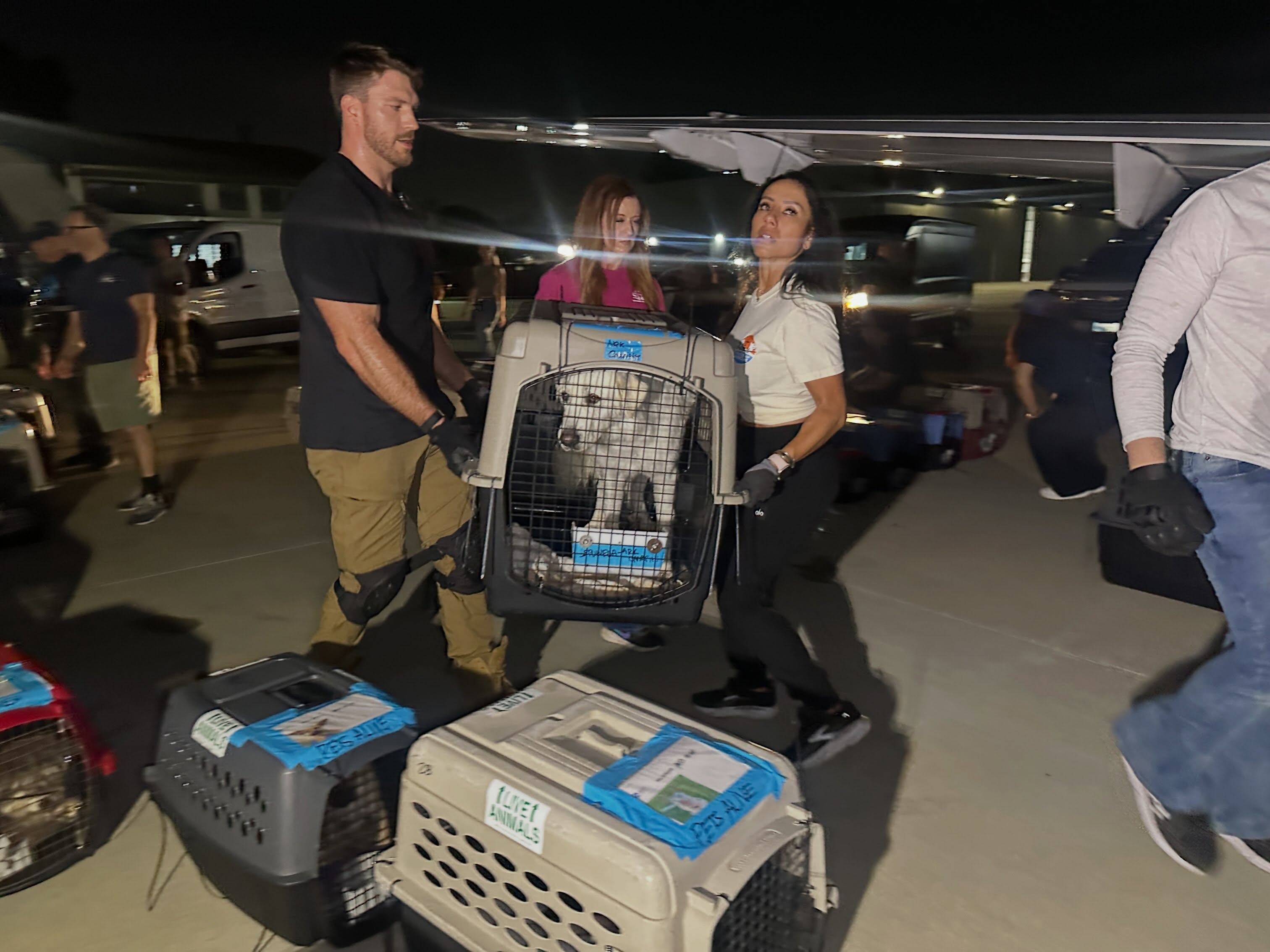 More than 120 dogs left overcrowded California shelters this weekend because there was somewhere else for them to go, and a plane to get them there.
Tomorrow, we’ll fly again.
Then Puerto Rico. Then two back-to-back full-plane transports to close out the month.
That is what your support makes possible.
More pets out of overcrowded shelters. More kennels opening. More lives getting a second chance.
We’ve now flown more than 94,000 pets, including 9,000+ this year alone.
The next flight is already on the schedule. Help us keep flying.
Donate through the link in bio. Spread the word.
#LetTheFurFly #flight #cats #dogs #save