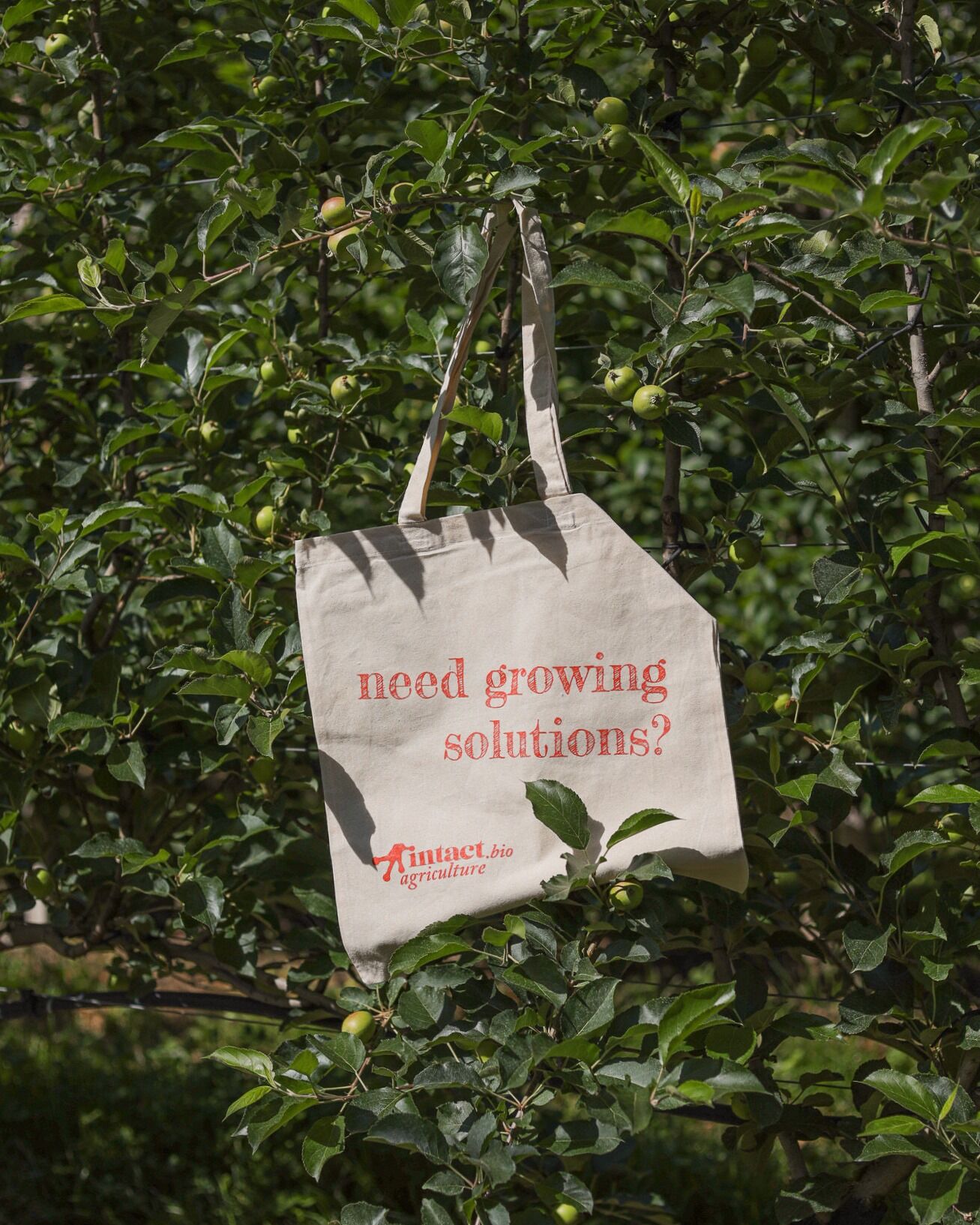🌱 Need growing solutions? We are by your side with zero-residue solutions for high-performing crops. 🌾💚
#intactsoltutions #zeroresidueagriculture #growingsolutions #highperformingcrops