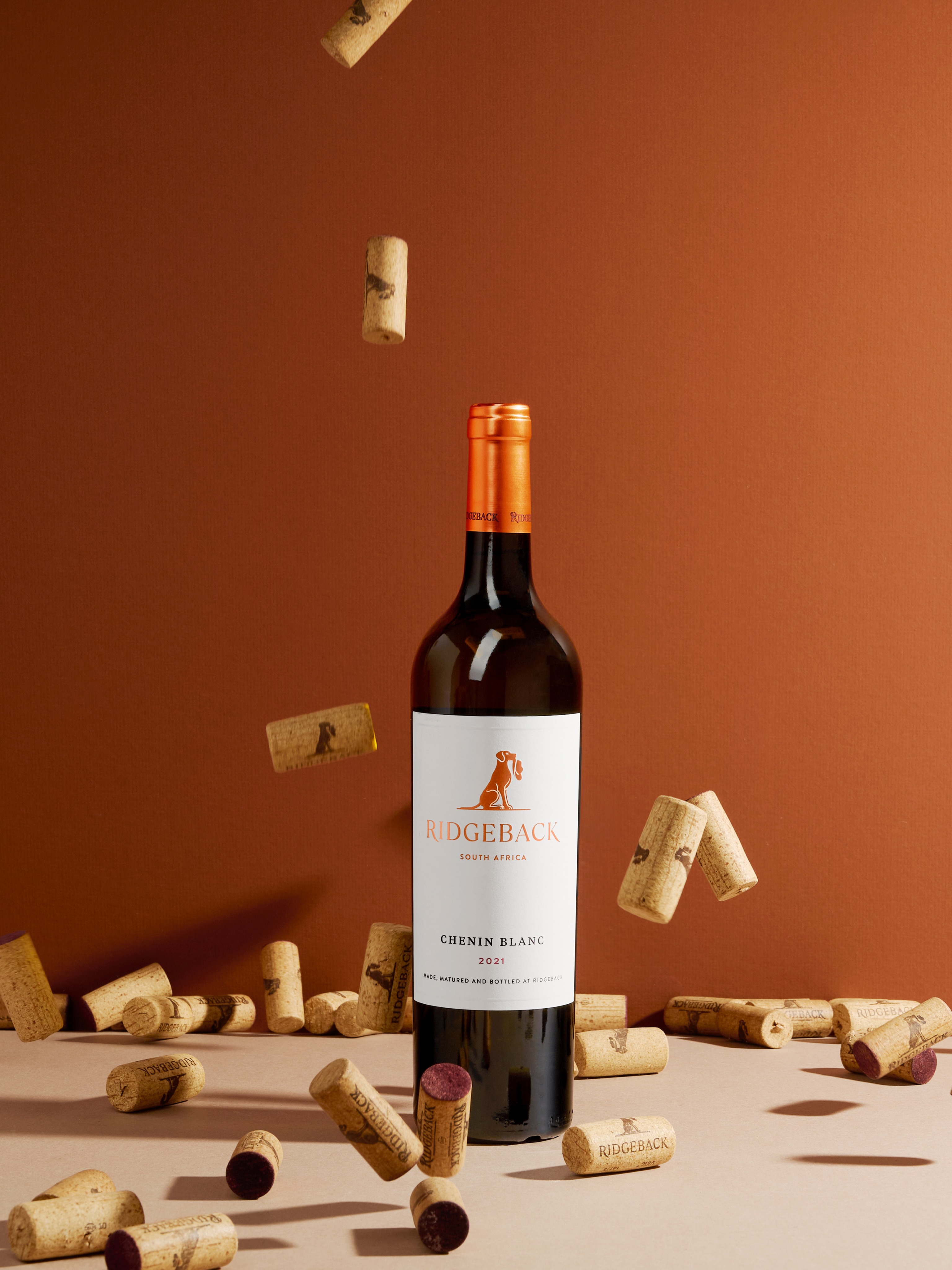 A few favourites from our recent shoot with @ridgebackwines
One thing about me, when it comes to my photography style, is I love movement and shadows 🤍
Studio : @stellenboschacademy
#productphotographer #winephotography #capetownphotographer