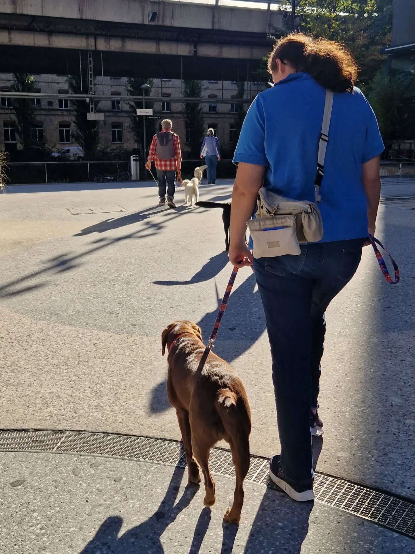 Im Gruppentraining haben wir heute viele verschiedene Übungen gemacht. Nicht alles war einfach, aber alle durften lernen und Spass war auch dabei. Danach gingen wir zur Entspannung auf einen schönen Spaziergang 🐾🐕🌞
Danke an alle die dabei waren!
#gruppentraining #assistenzhundeschweiz #hundetraining #gemeinnützigerverein #teamwork