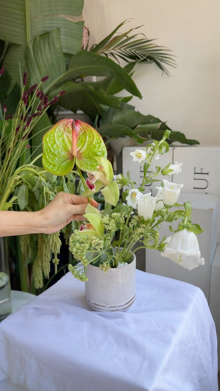 We were asked to create two different sizes of floral arrangements for @moncler with funkiest flowers and plants such as artichoke, large anthuriums, protea blushing bride flowers 🪷
Such an honor to be trusted by them and grateful to have a client who let us lead with our own creativities
#nycflorist #luxluf #floraldesign #nycevents #luxuryflorals