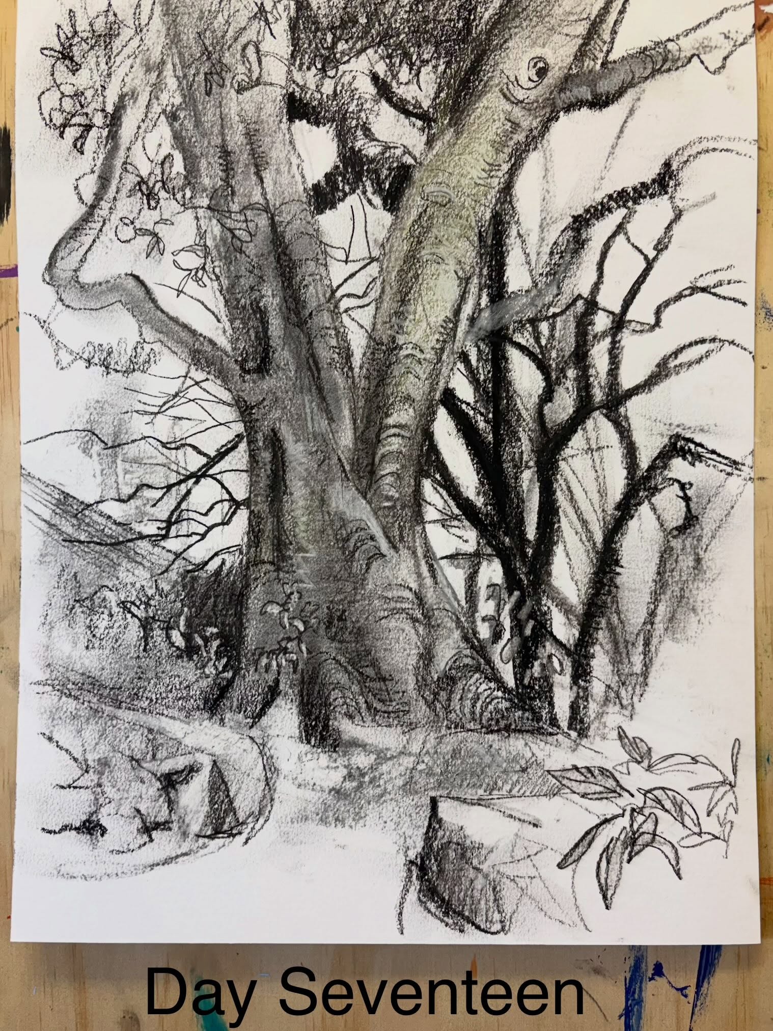 Day Seventeen of the Strada Easel Challenge.
This drawing was also done in the park opposite my home. I used a textured watercolour paper which gives it a more impressionistic look, not so precise in the outlines. Experimenting with texture. Great old trees deserve to be immortalised.
#stradaeasel #drawingtrees #qldartist #paddington4064