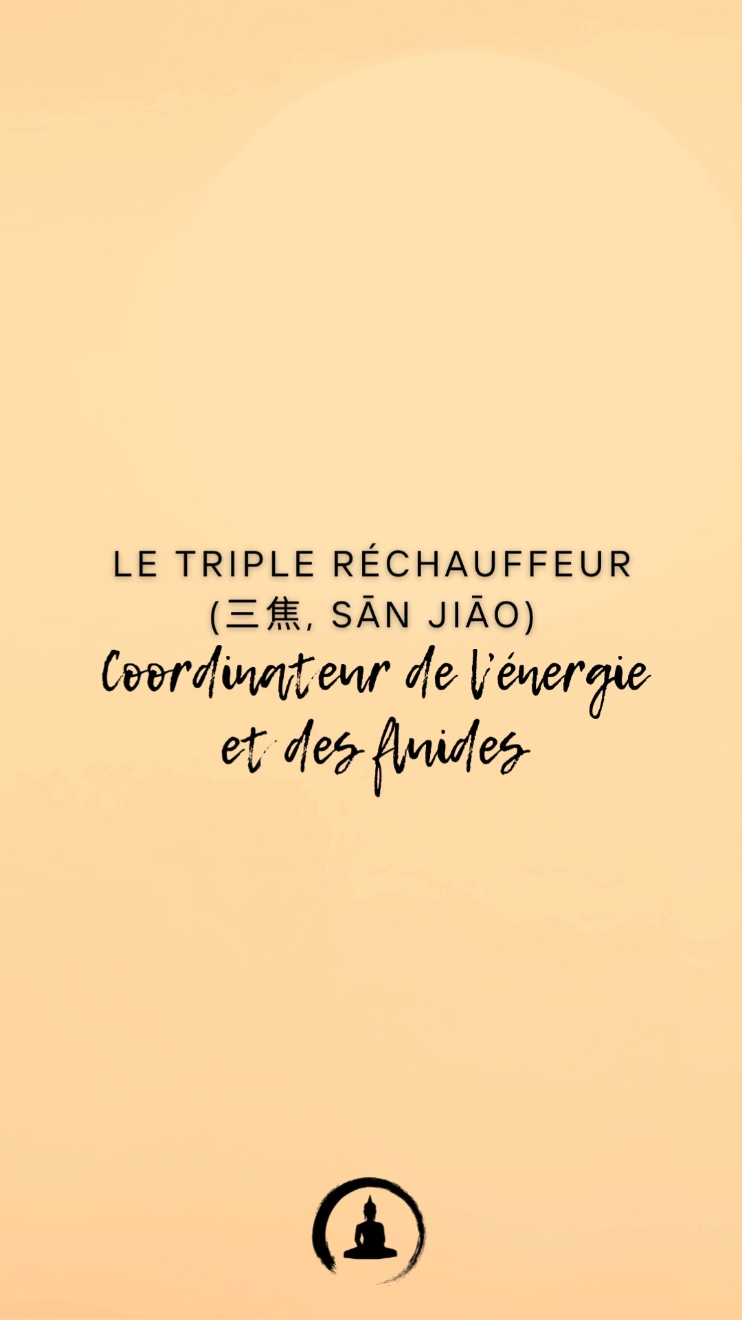 Le Triple Réchauffeur (三焦, Sān Jiāo) : Coordinateur de l’énergie et des fluides
Le Triple Réchauffeur est unique en médecine chinoise : il régule la circulation du Qi et des fluides dans tout le corps, connectant les organes et harmonisant leurs fonctions.
🔸 Rôles principaux :
Réchauffeur supérieur (cœur, poumons) : Distribue le Qi et les fluides dans le haut du corps.
Réchauffeur moyen (rate, estomac) : Gère la digestion et la transformation des aliments.
Réchauffeur inférieur (reins, vessie) : Contrôle l’élimination des déchets liquides.
🔹 Signes de déséquilibre :
Déséquilibres hydriques : œdèmes ou sécheresse.
Sensation de chaleur ou froid dans certaines zones du corps.
🔹 Conseils pour équilibrer le Triple Réchauffeur :
1️⃣ Pratiquez des exercices respiratoires pour harmoniser le réchauffeur supérieur.
2️⃣ Consommez des repas chauds pour soutenir le réchauffeur moyen.
3️⃣ Gardez vos pieds au chaud pour préserver le réchauffeur inférieur.