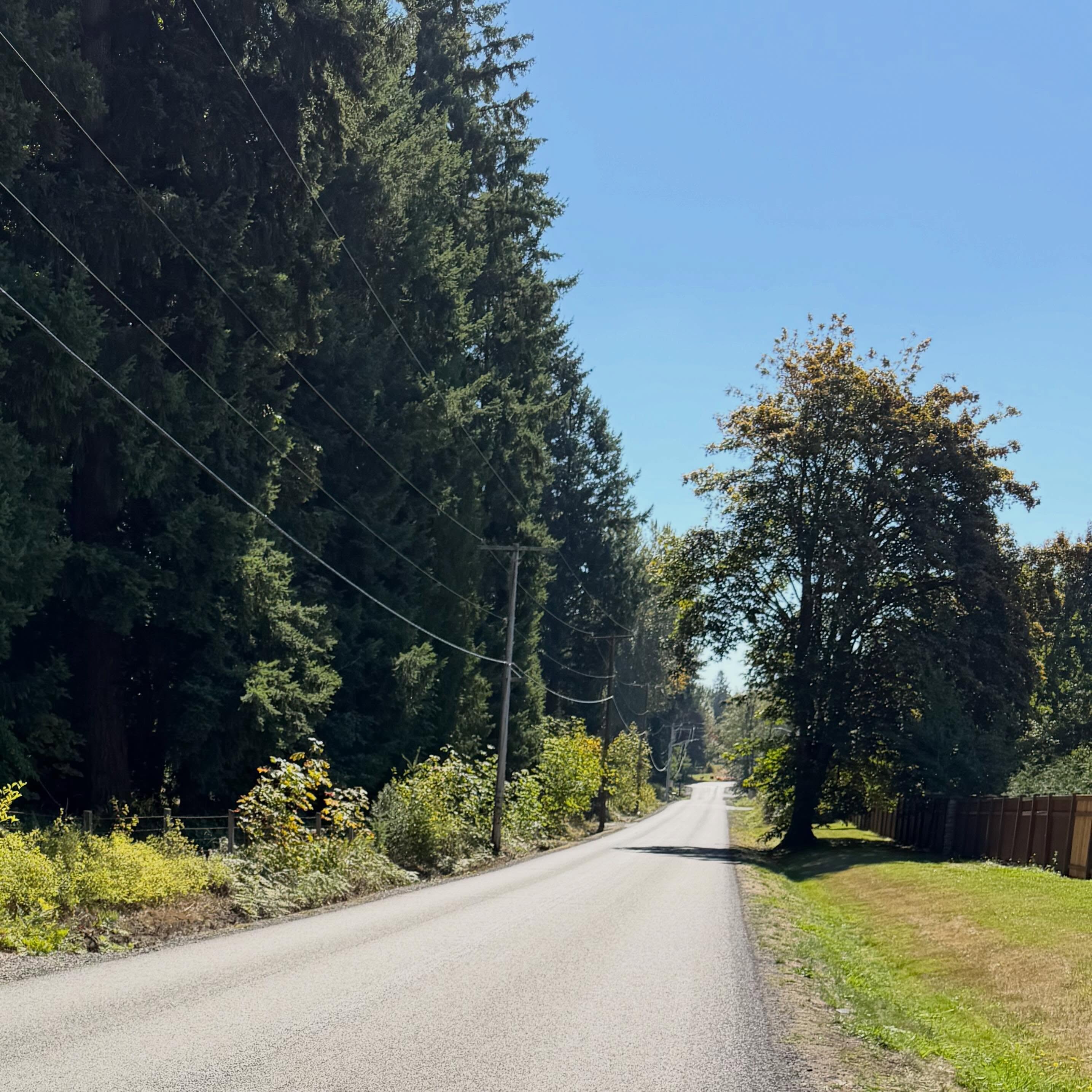 The best kind of September weather ☀️ 🍂 #fall #walks #toddlerwalk #september
