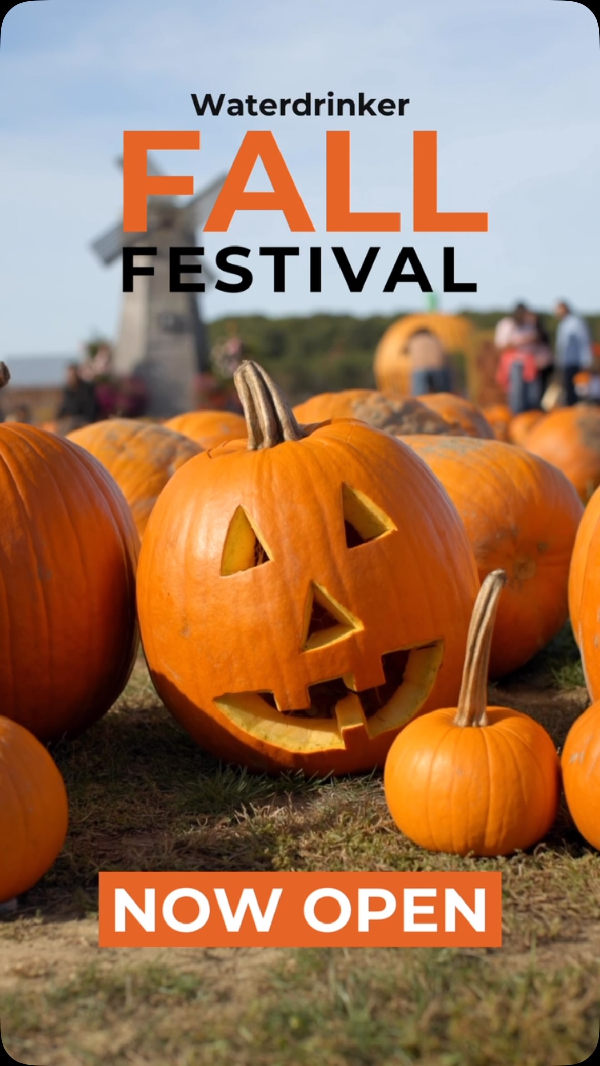 FALL FEST IS BACK AT OUR 2 FARMS! SPEND YOUR 3 DAY WEEKEND WITH WATERDRINKER!
Visit the classic farm in Manorville or venture out to our new farm on the North Fork!
OPEN THIS SATURDAY, SUNDAY & MONDAY UNTIL 6PM!
Hay Rides, Pumpkin Picking, Corn Mazes, and Tons of Fall Fun!