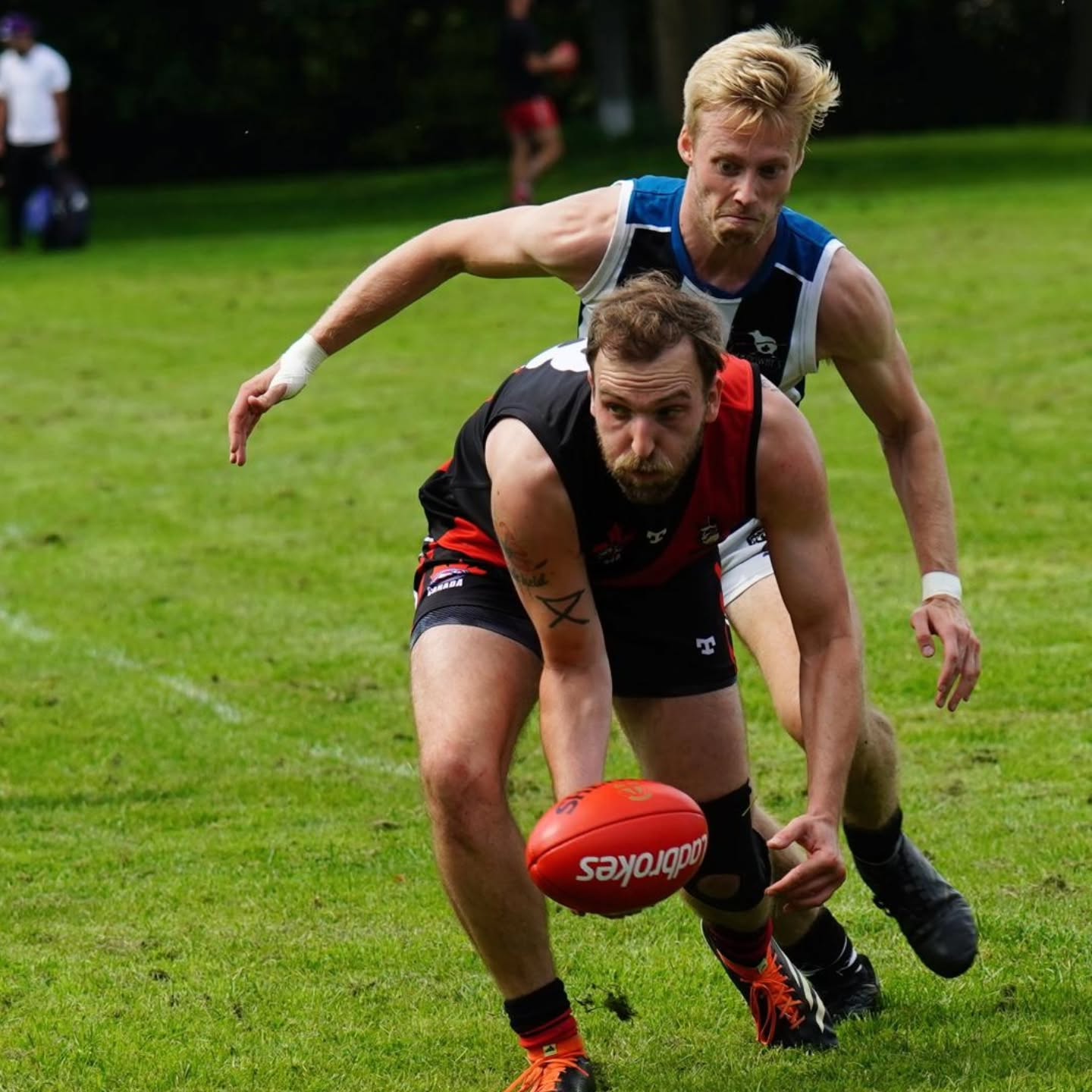 Some of the best photos from the Qualifying Final!
#AsAPack
📸: @p.for.pete