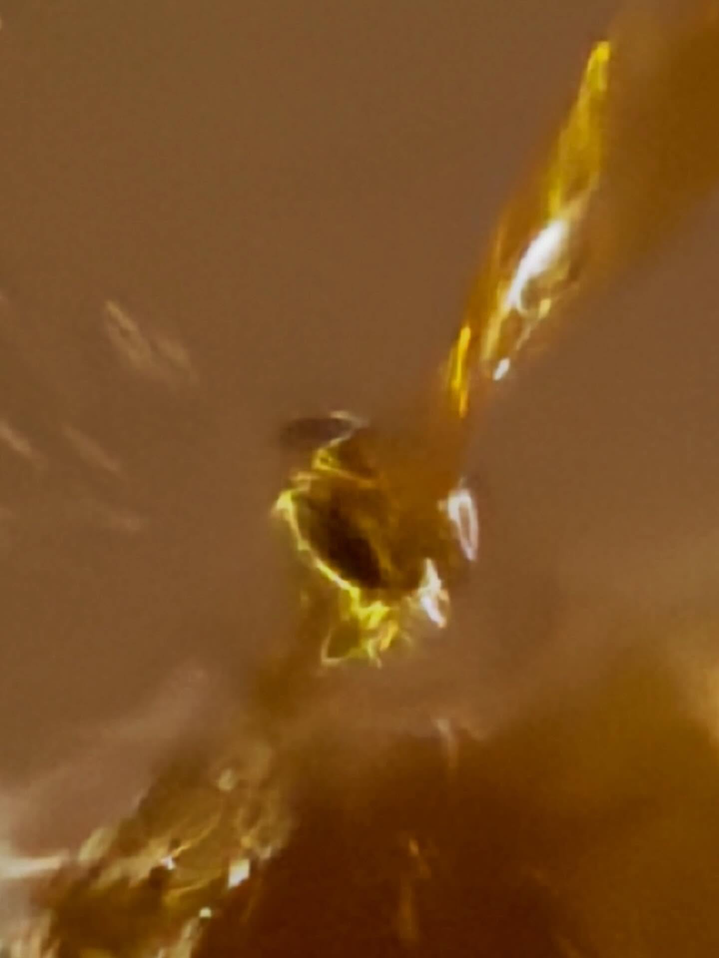 Pilip Pulp oil becoming something...