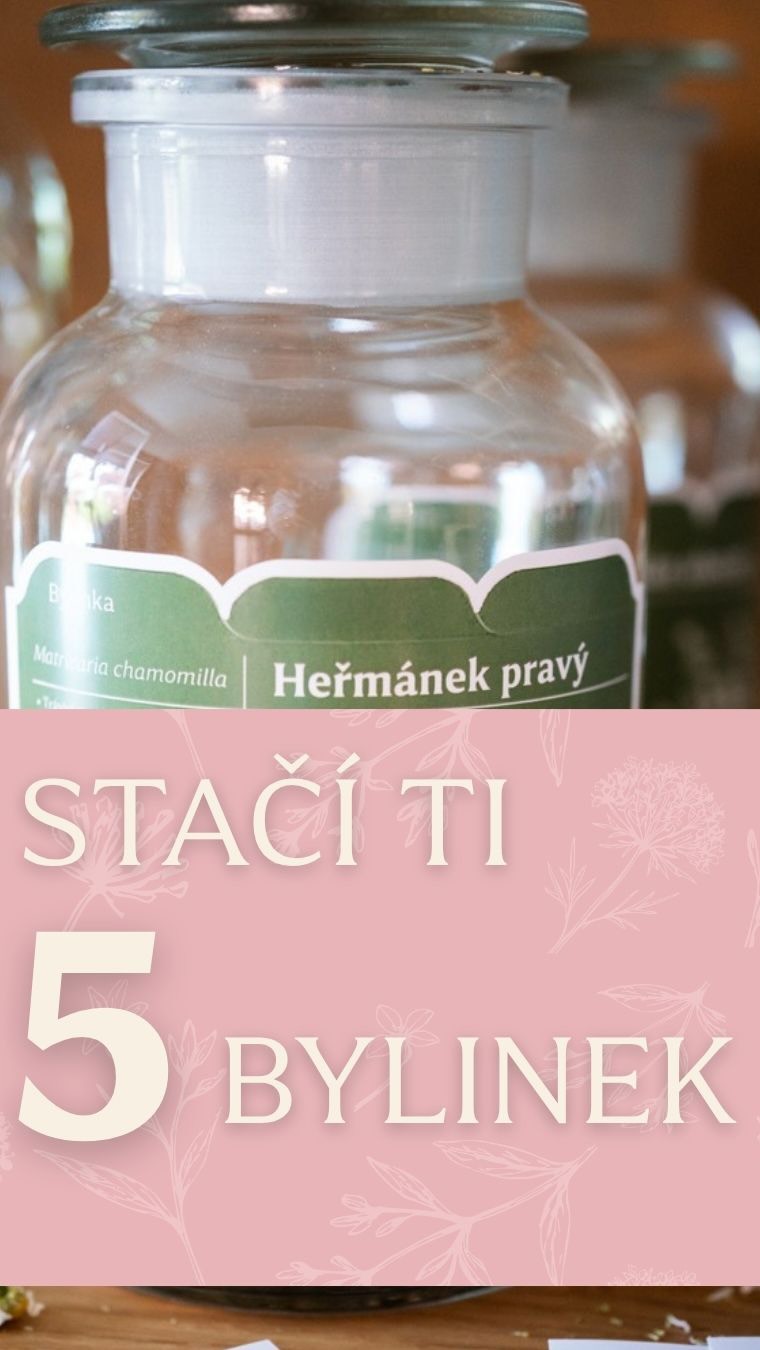 Stojíš večer u skříňky, dítě pokašlává a ty váháš nad deseti skleničkami, co vlastně uvařit? 🌿
Domácí lékárnička z bylinek vůbec nemusí být složitá. Když doma hromadíš desítky různých pytlíků, v momentě, kdy někdo lehne s rýmou nebo teplotou, akorát znejistíš. Mnohem větší jistotu získáš, když máš po ruce ověřený základ.
Přírodní péče o rodinu funguje spolehlivě právě tehdy, když přesně víš, po čem sáhnout a jak to bezpečně připravit. Pět základních bylin ti v klidu pokryje většinu běžných neduhů od podzimu do jara.
Ulož si tohle video na potom a napiš mi do komentáře: kolik z těchto pěti bylinek máš teď doma ve spíži? 😉
#bylinky #prirodnipece #domacilekarna #bylinkarka #bylinkyprodeti #prirodnilecba #bylinkarstvi