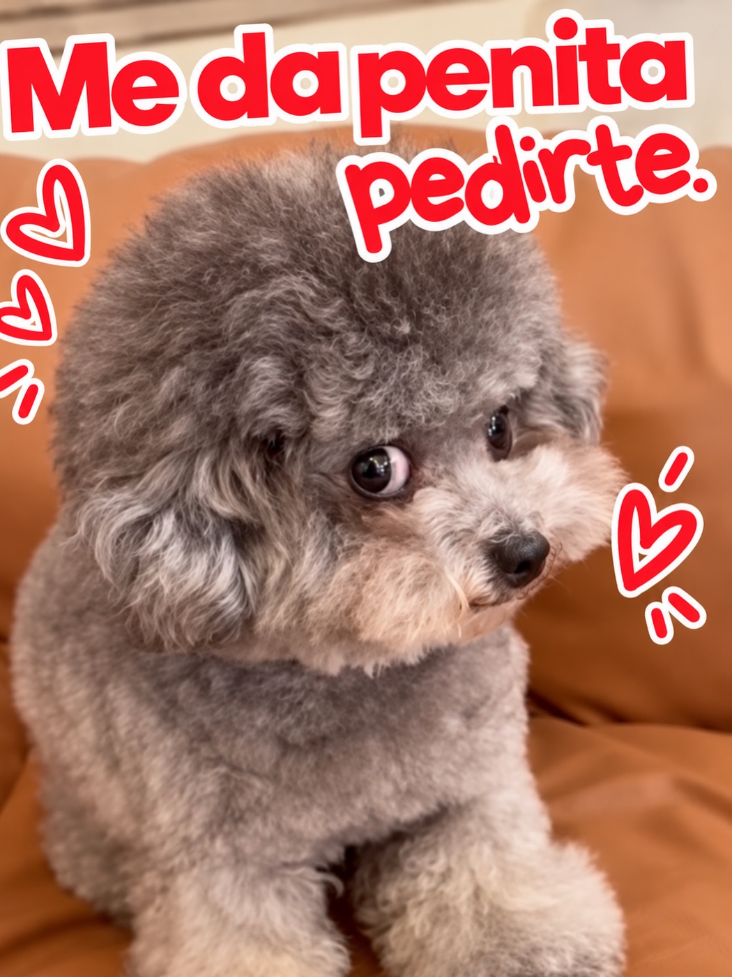 Quien le dice que no??
#cutenessoverload