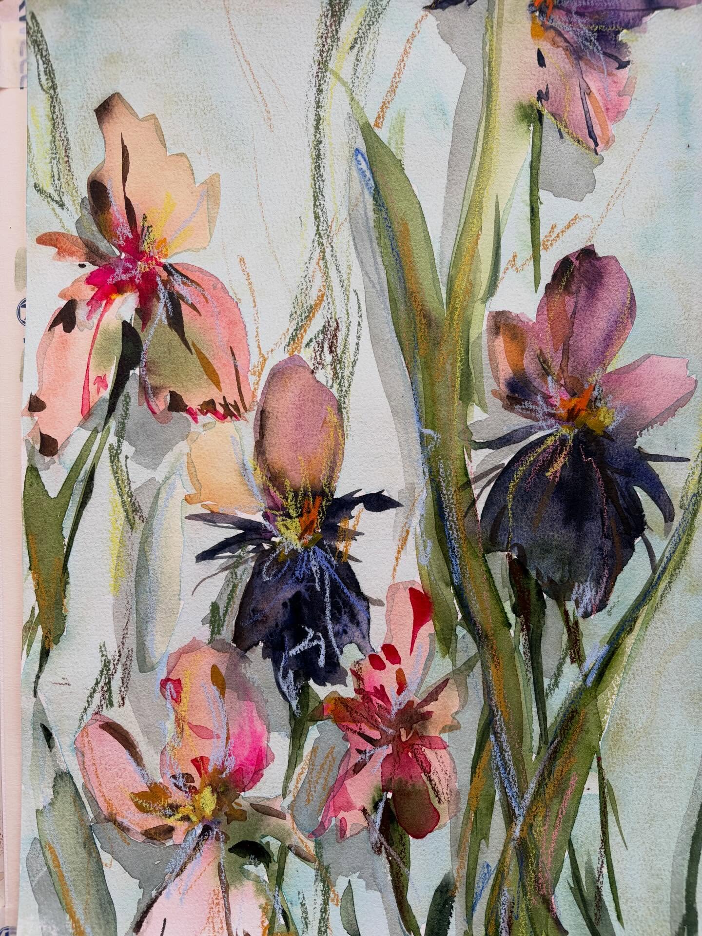 One iris painting. 2 colour ways. Which one do you prefer? There was even a 3rd version (see last video) but that one wasn’t developed pasted the 2nd layer.
Experiments. Painting. Irises. ❤️
#watercolourflorals #watercolorflowers #irisesofinstagram #looseflorals #loosefloralwatercolor