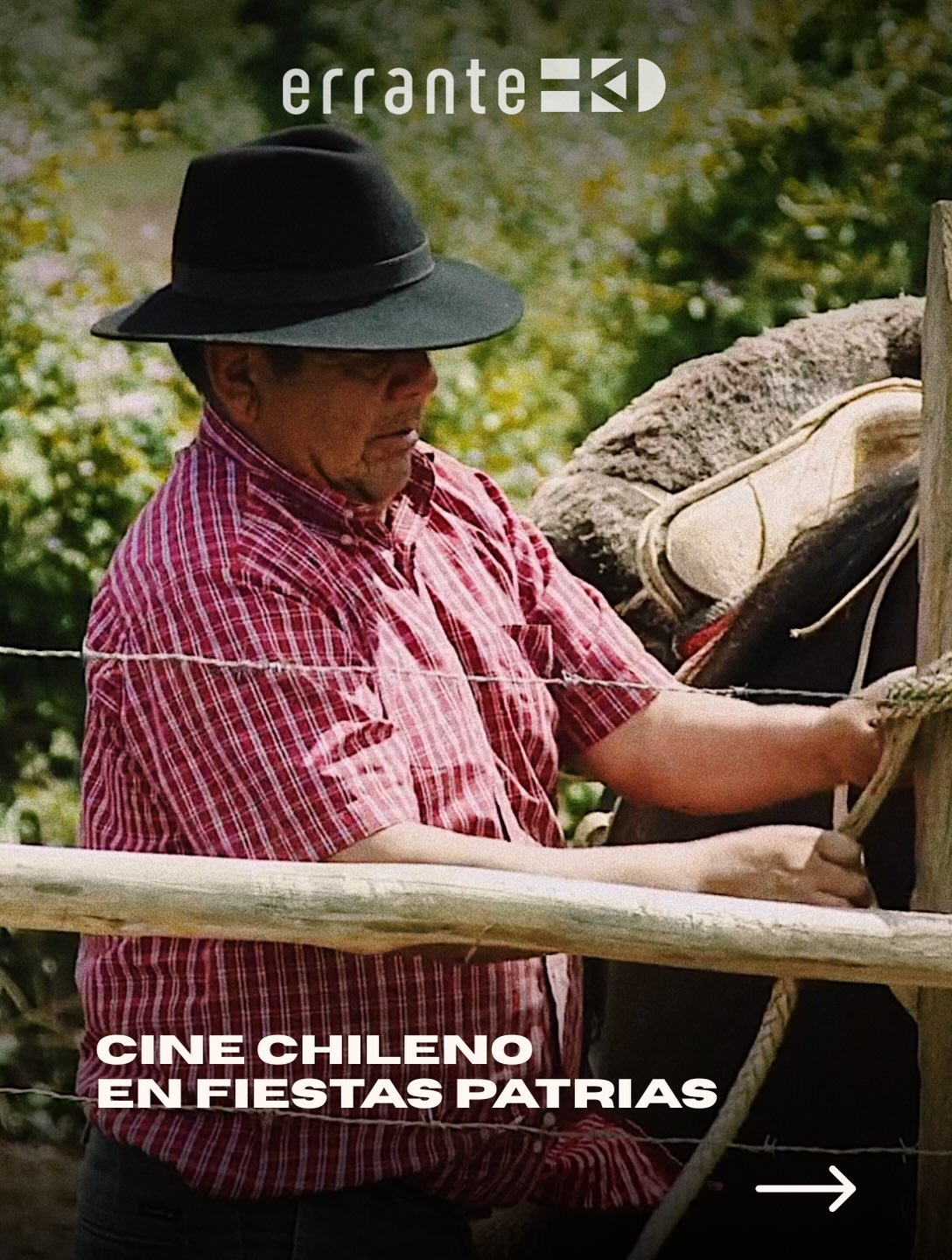 #ErrantePelículas | Cine Chileno en Fiestas Patrias 🇨🇱
🎥 Una invitación para celebrar y compartir las diversas historias a lo largo de nuestro país a través de la mirada de reconocidas realizadoras y producidas por @erranteproducciones, premiados documentales disponibles para todo el mundo a través de plataformas de streaming .
🎞️ Encuentra estos premiados documentales que reflejan las voces y nuestros territorios en las principales plataformas digitales como Apple TV, Google TV, Amazon Prime, Youtube, Totalplay, Izzi y gratuitamente Ondamedia.
#FiestasPatrias #18Septiembre #ErranteProducciones #Documentales CineDocumental Cine Chile Directoras CinePorMujeres DirectorasChilenas DocumentalChileno Memoria Cultura Arte CineFeminista MujeresEnElCine