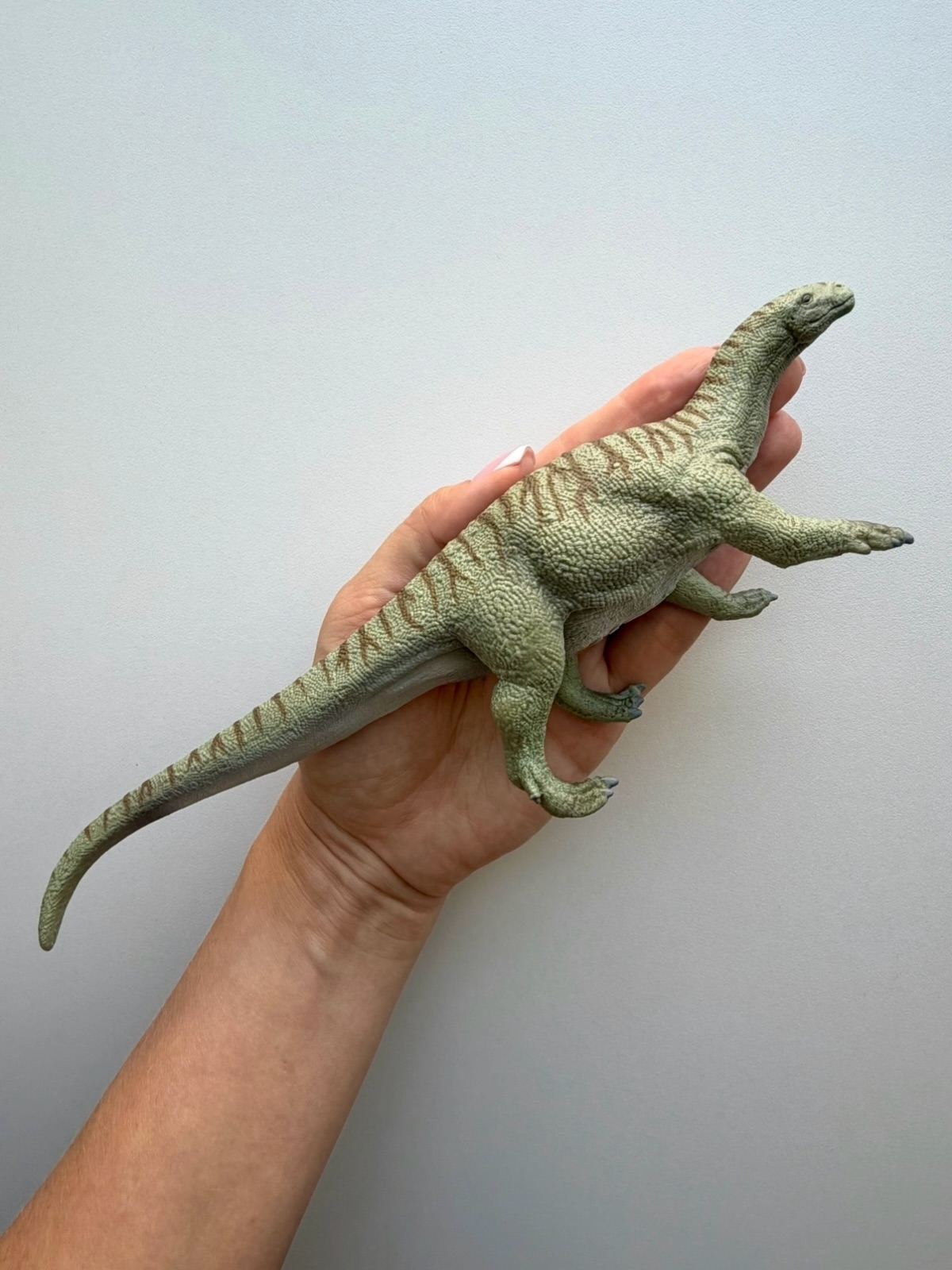 Ingentia Prima CollectA Deluxe. Ціна 470 грн #dino_animals_svit #фігурки #іграшки