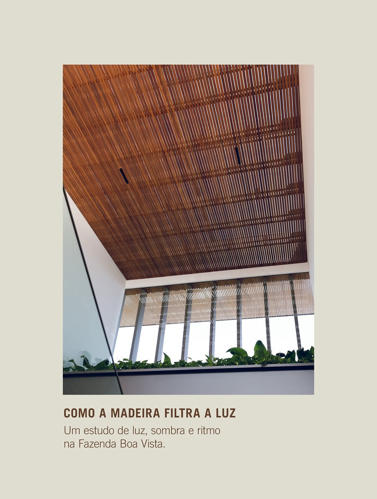 A luz nunca permanece igual por muito tempo. Conforme o sol muda de posição, mudam também as sombras, os contrastes e a forma como percebemos a madeira.
Na Fazenda Boa Vista, ela atravessa Os intervalos do Ripado Tauari, encontra os beirais revestidos em Lambri Tauari e se projeta sobre o Assoalho Pronto Cumaru. Em cada superfície, assume um desenho diferente e acompanha a passagem entre interior e exterior.
São detalhes que fazem a casa ganhar novas leituras ao longo do dia.🌿
Produtos Indusparquet:
Ripado Tauari e Lambri Tauari com tingimento especial Assoalho Pronto Cumaru
Arquitetura: Jacobsen Studio @jacobsen.studio
Fotografia: Reinaldo Ortlieb @rortlieb
#arquitetura #madeira #indusparquet
#residencia #arquiteto