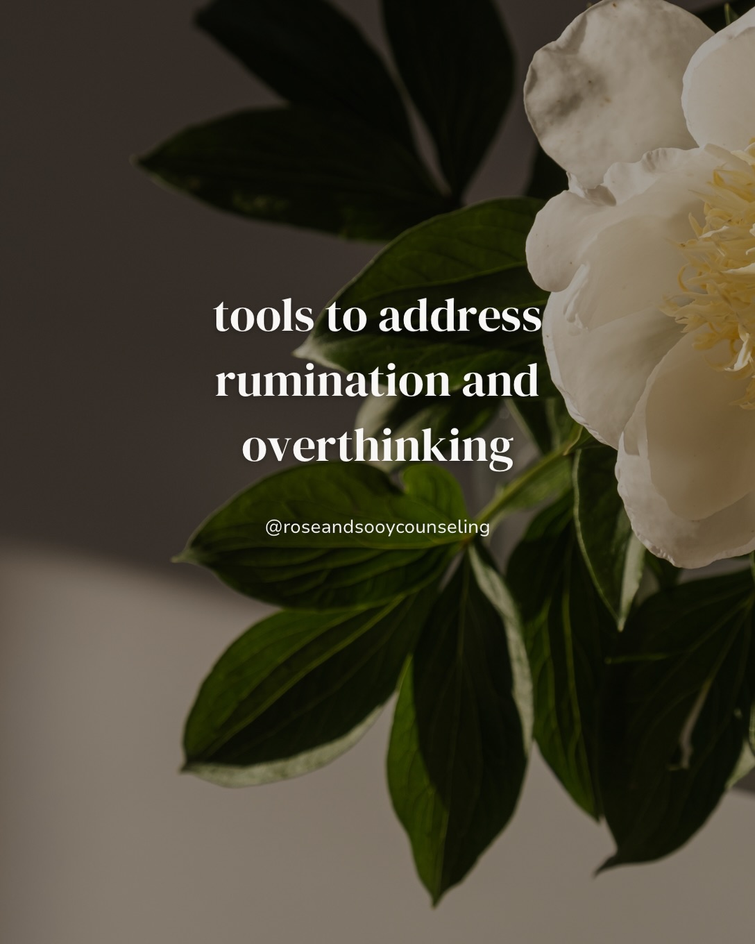 ✨Noticing it: Acknowledge the overthinking without judgment.
🪴Shifting your focus: Engage your senses - what do you see, hear, feel?
🌙 Taking a small action: Even a tiny step forward can break the cycle.
Take a breath. You’ve got this.
#ocdtherapy #anxiousthoughts #adhdtherapy #neurodivergentwomen #lgbtqia+