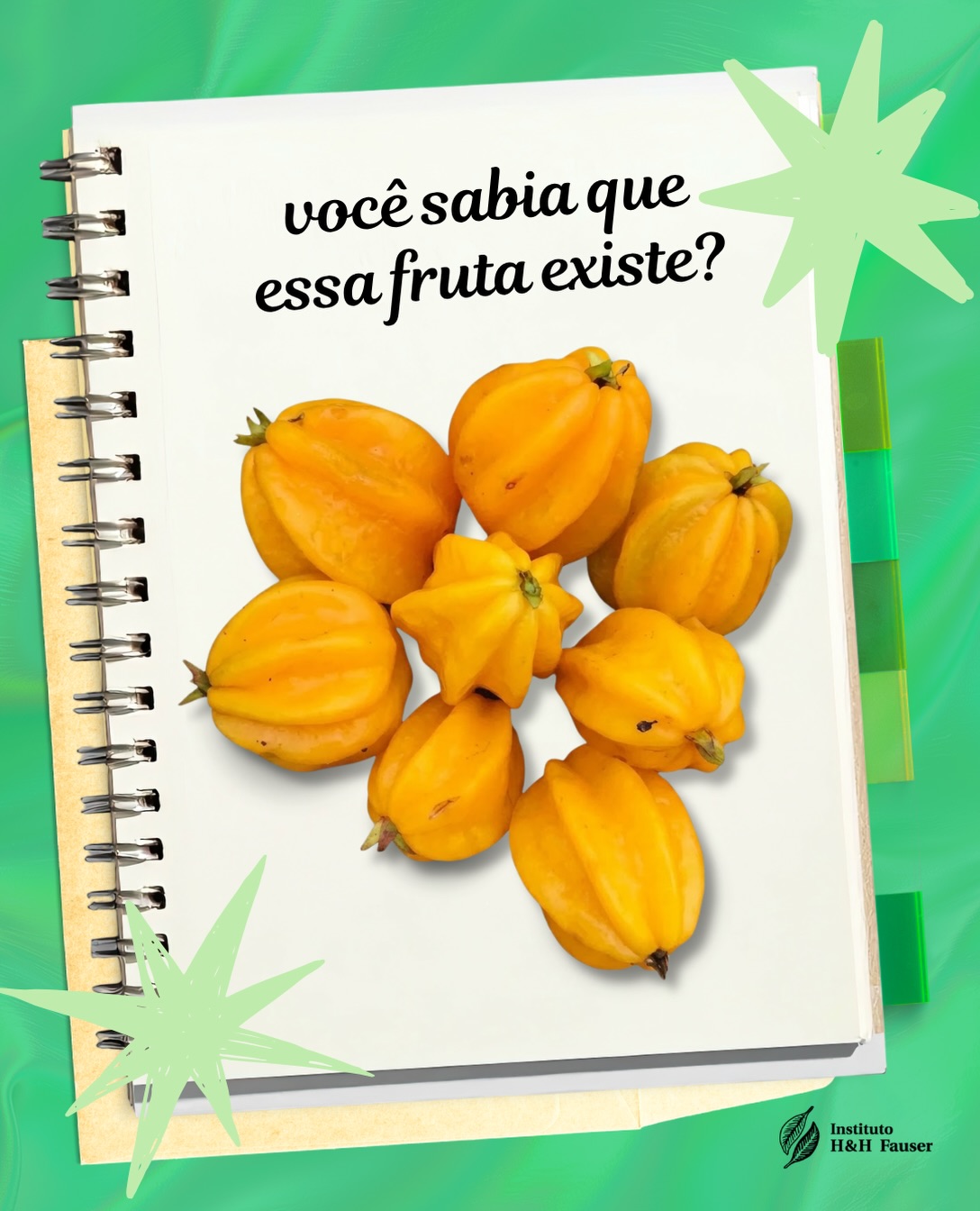 Essa fruta a gente acha que você não conhece... 🤫
A pitangatuba é uma fruta nativa da Mata Atlântica e de ocorrência natural bastante restrita. Ela é encontrada nas áreas de restinga do litoral de São Paulo, Rio de Janeiro e Espírito Santo.
Parente da pitanga, as duas pertencem à família Myrtaceae, mas são espécies diferentes.
Também conhecida como pitanga-carambola e pitanga-ubá, a pitangatuba chama atenção pelo formato e pelo sabor. Pode ser consumida in natura ou utilizada em sucos, sorvetes e outros preparos.
Agora que você conheceu, compartilhe com alguém que também precisa conhecer essa belezinha. 💚
#ihhf #pitangatuba #frutasnativas #mataatlântica #biodiversidade