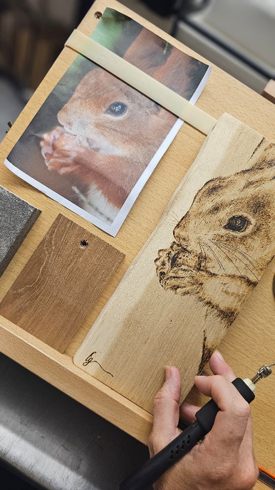 On The Easel
🌱 Oh you pretty thing ... a gorgeous red squirrel.
Its been a little tricky to obtain the sense of dimension with this little rascal. Having recently done a Grey I thought it was time to give the big Red some love.
🌱 Pyrography on the same oak as the Barn Owl. I am slowly bringing together a native Winter collection to bring along to my November and December events.