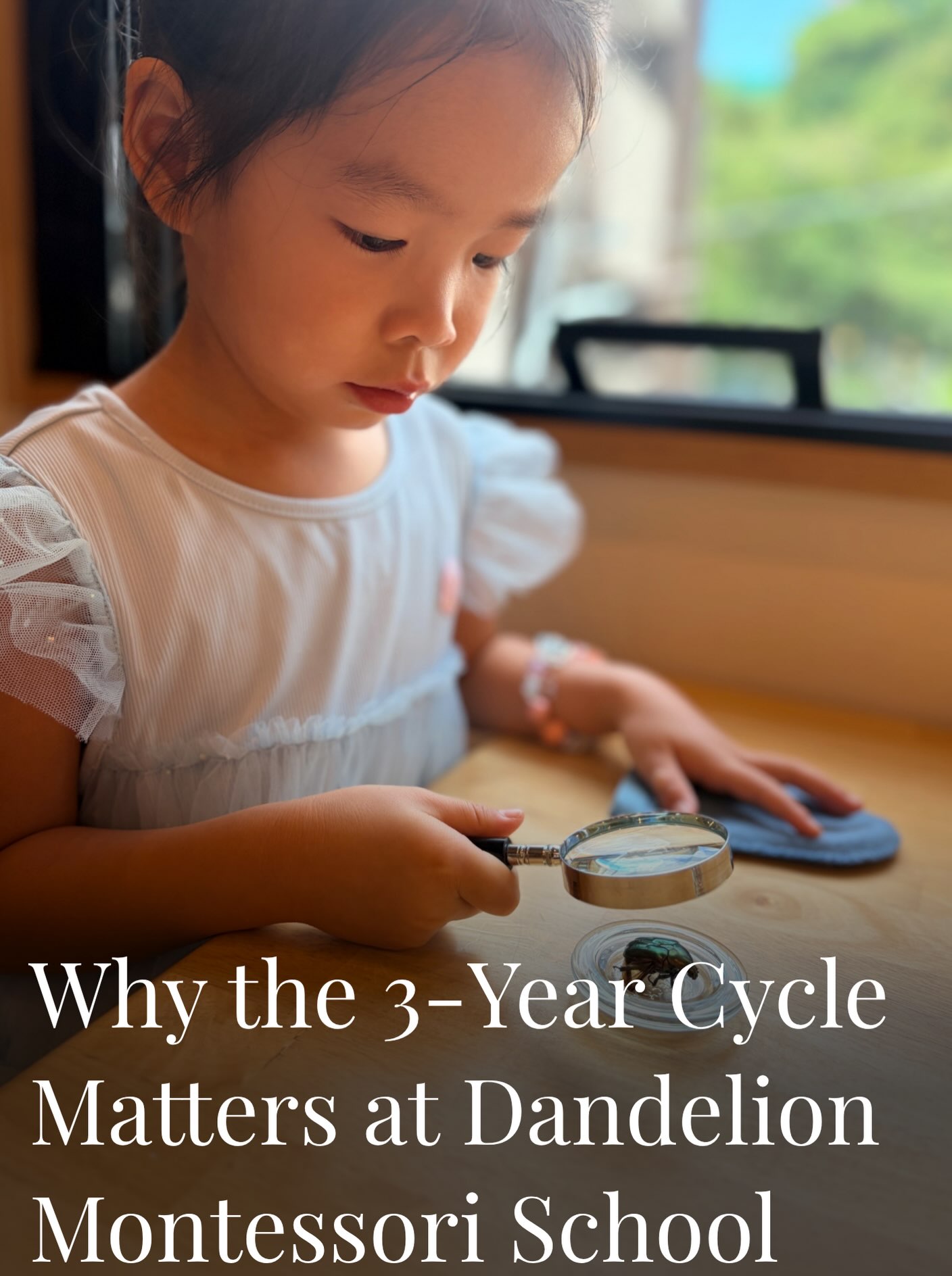 In an authentic Montessori environment, children stay in the same classroom community for three years (ages 3 to 6).
This 3-year cycle allows children to move from being nurtured, to gaining mastery, to becoming confident leaders who inspire their younger peers. In our 3 to 6 Montessori school in Tokyo, this long-term continuity provides deep emotional security and continuous academic growth without high-pressure testing.
We are currently welcoming applications for the 2027-2028 school year.
🌱 Schedule a private tour via the link in our bio.