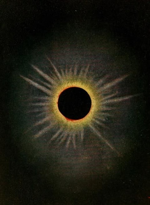 In yogic teachings, the fire of tapas (disciplined practice) clears stagnation from the body, svadhyaya (self-inquiry) clarifies the mind, and ishvara pranidhana (surrender) opens the heart.
Together, they prepare us to step into the new season lighter, clearer, and more alive.
As we approach the Autumn Equinox, we gather to honour this turning point through 108 Sun Salutations ~ a practice of devotion, an invitation to show up exactly as you are: to move, to breathe, to listen, to purify.
This Sunday, September 20th at 12pm, join us as we welcome a new season together ~ grounding into balance, releasing what is ready to fall away, & making space for what comes next. 🌞🍂
Sign up via the link in our bio ✨
#suryanamaskar #108sunsalutations #autumnequinox