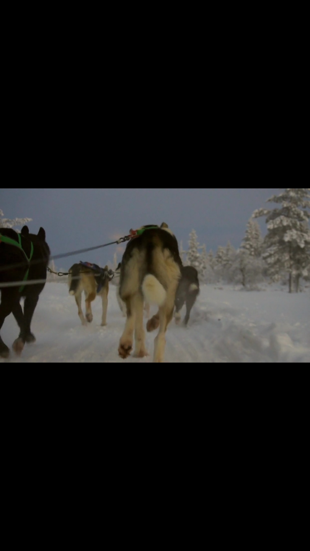 ❄️🎅 MAKE THIS CHRISTMAS ONE THEY’LL NEVER FORGET! 🎅❄️
3 magical nights in Finnish Lapland from just £4,999 for a family of 3!
Imagine waking up surrounded by a snowy Arctic wilderness, staying in your very own glass-roof Aurora Cabin… then heading out into the snow for incredible Arctic adventures before setting off on a magical search for Santa. ❤️🎄
📍 Pyhä, Finnish Lapland
🏡 3 nights in a Glass-Roof Aurora Cabin
🍽️ Full board
🧤 Thermal clothing & winter equipment
🦌 Reindeer Express
🎅 Search for Santa – a magical 3-hour experience
🎿 Snowmobile Safari
❄️ Complimentary use of skis, snowshoes & toboggans
🚌 Rovaniemi Airport transfers
🐾 Want even more adventure? Add a 10km Husky Safari for an additional cost!
✈️ FAMILY OF 3 FROM £4,999
Gatwick | 13 Dec 2026 – £4,999
Manchester | 13 Dec 2026 – £5,299
Gatwick | 17 Dec 2026 – £5,499
Manchester | 17 Dec 2026 – £5,599
👨👩👧👦 FAMILY OF 4 FROM £5,999
Manchester or Gatwick | 13 Dec 2026 – £5,999
Gatwick | 17 Dec 2026 – £6,499
Manchester | 17 Dec 2026 – £6,699
Other airports and dates are also available - just ask!
From snowy forests and reindeer rides to snowmobile adventures and that unforgettable moment when the children meet Santa… this is Christmas magic brought to life. 🎅❄️
December Lapland dates don’t stay available for long! If this sounds like the Christmas your family has been dreaming of, get in touch and let’s make it happen. ❤️
Prices based on 2 adults and 1/2 children aged up to 14 years. No mandatory fees or taxes apply. Prices correct at time of publication (14/09/2026) and subject to availability. Flights are direct with easyJet and include 2 x 23kg suitcases. Packaged via Aviate, ATOL 10232. Terms and conditions apply.#jennydavisholidays #luxurytravelagent #lapland #nitgb