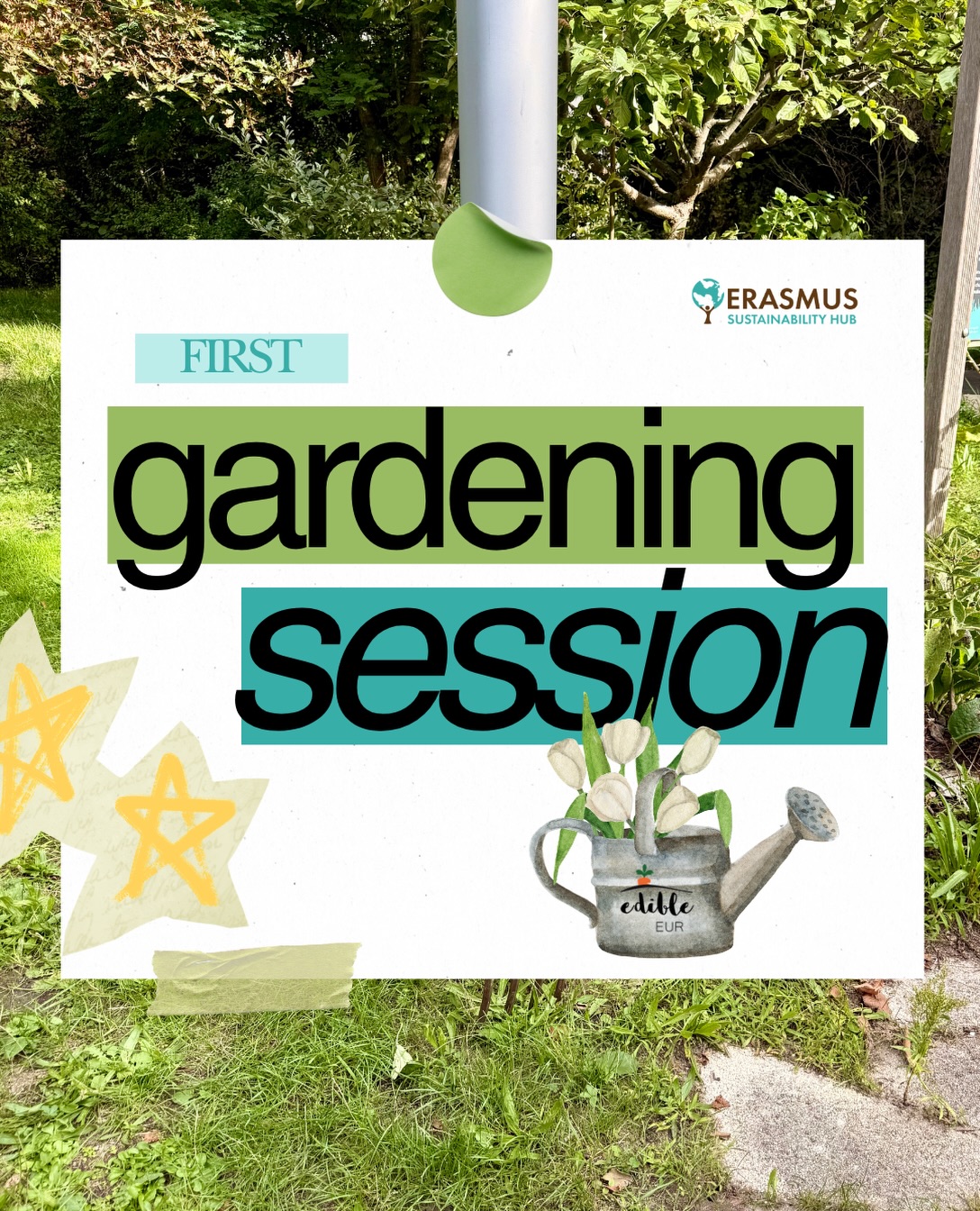 Our first gardening session is right around the corner! Join us for a fun afternoon sharing and building something amazing together ๐คฉ
๐๏ธ September 24th
โฐ 15:00-17:00
๐ ESH Campus Garden
Not sure how to get to the garden? Follow our video in our instagram page ๐๐ชด
Bring something to eat or drink to share with your fellow gardeners, and most importantly... bring your enthusiasm and energy!!
See you in the garden ๐๐๐ชฑ
#erasmus #erasmussustainabilityhub #campusgarden #rotterdam #gardening
