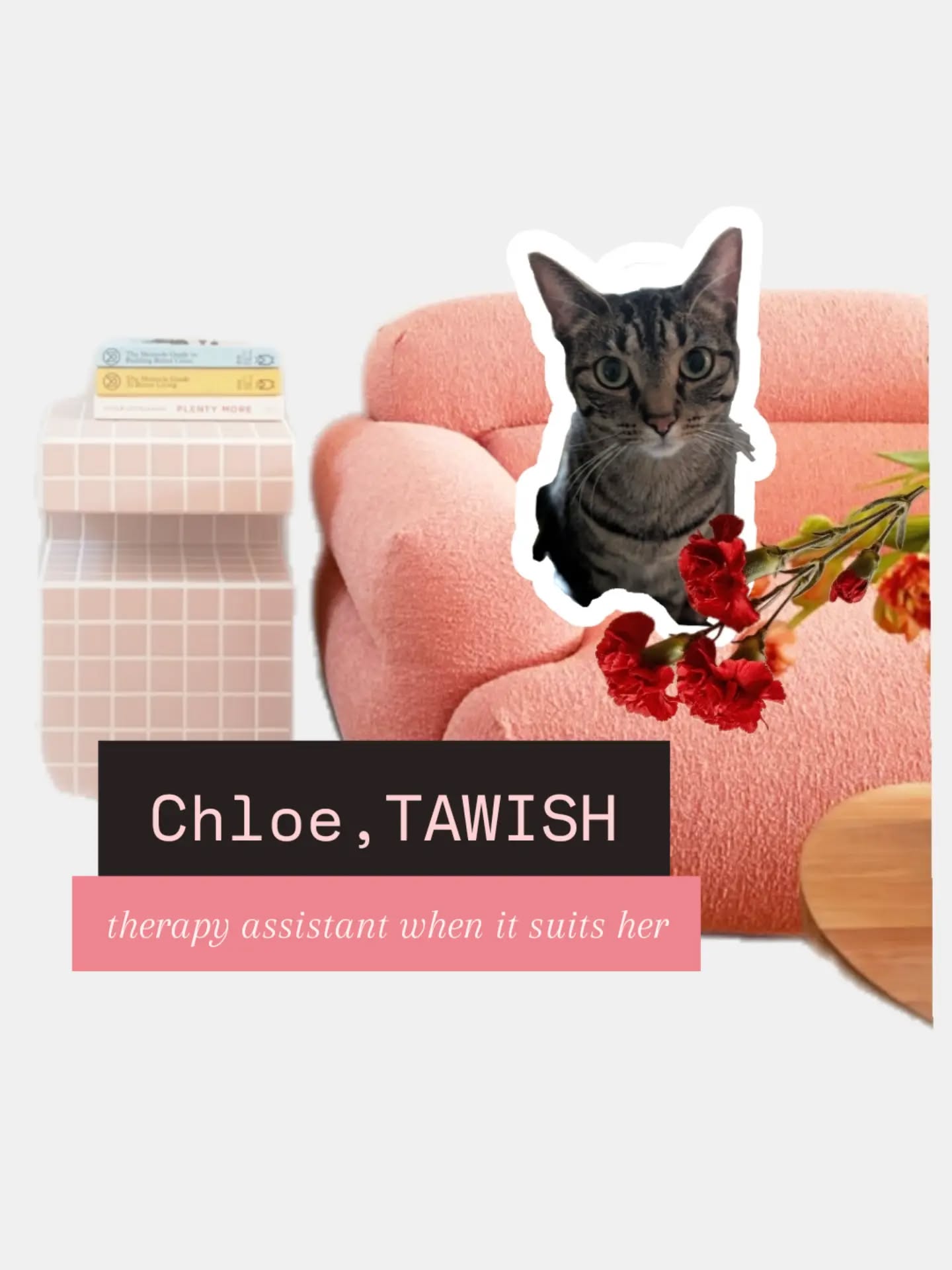 Meet Chloe! Therapy Assistant When It Suits Her ๐ She doesn't hesitate to say the quiet part out loud. And she's ๐ฏยฐ cured any guilt/shame around rest and self care. She now naps whenever/wherever/constantly - whatever it takes to stay regulated.
#therapycat #animalshealpeople #catloverโค๏ธ #restisresistance #nervoussystemregulation