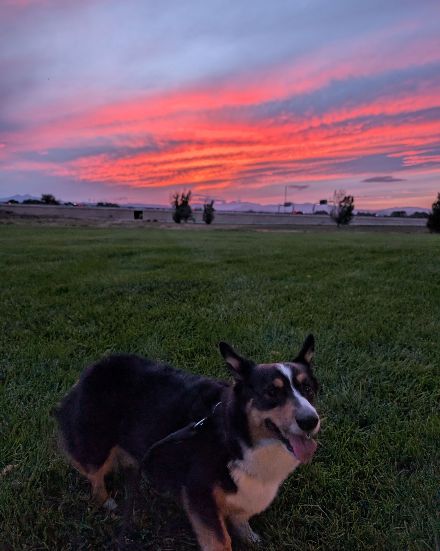 That sunset last night 🤌🤌