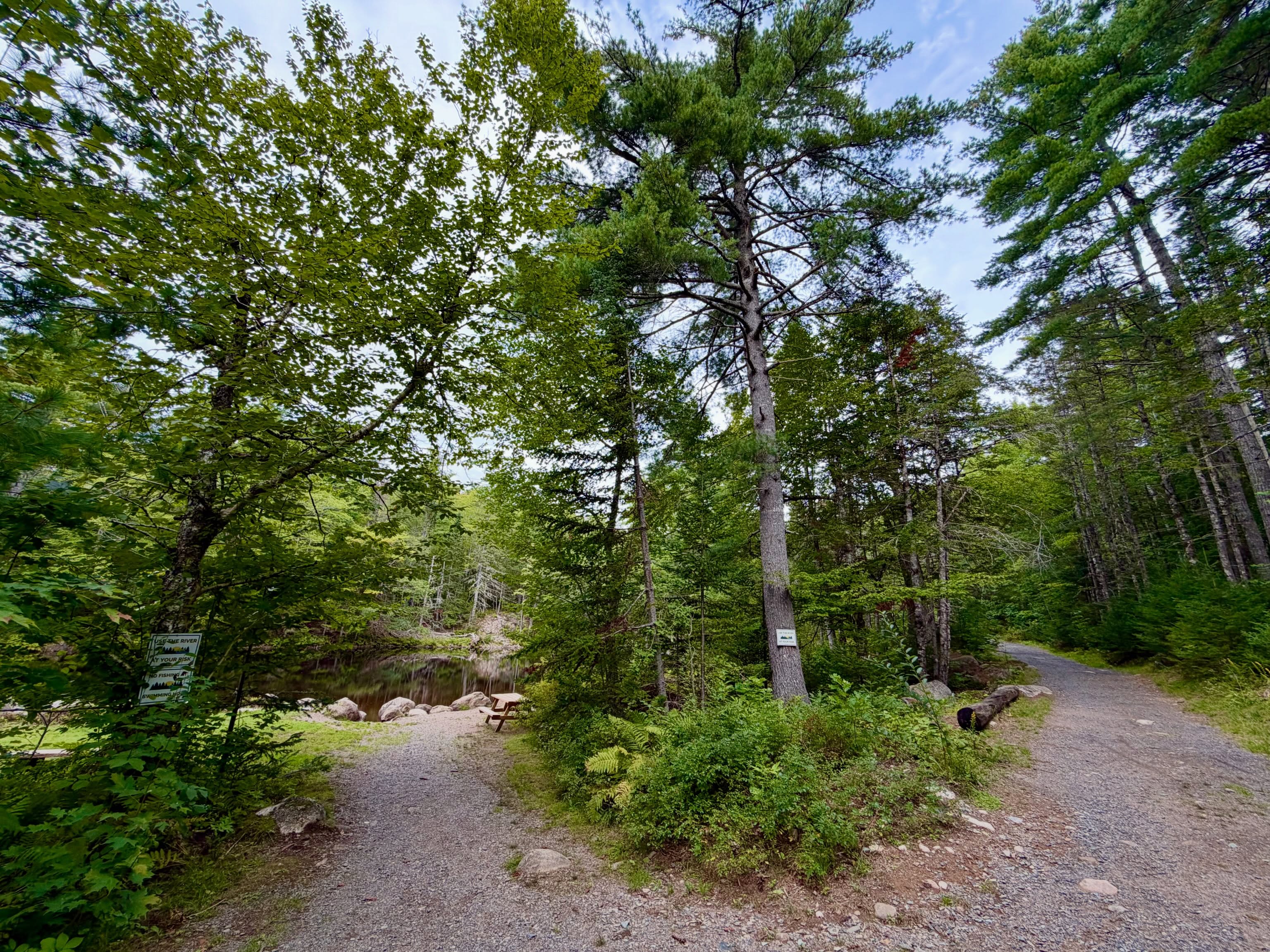 Whether youโre one of the brave ones thatโs still up for a swim ๐๐ฉ or prefer to bundle up for a walk in the woods ๐ฒ๐ฅพ thereโs so much beauty to explore at the LaHave River Campground! ๐ช #nature #beauty #getoutdoors #explore #novascotia
