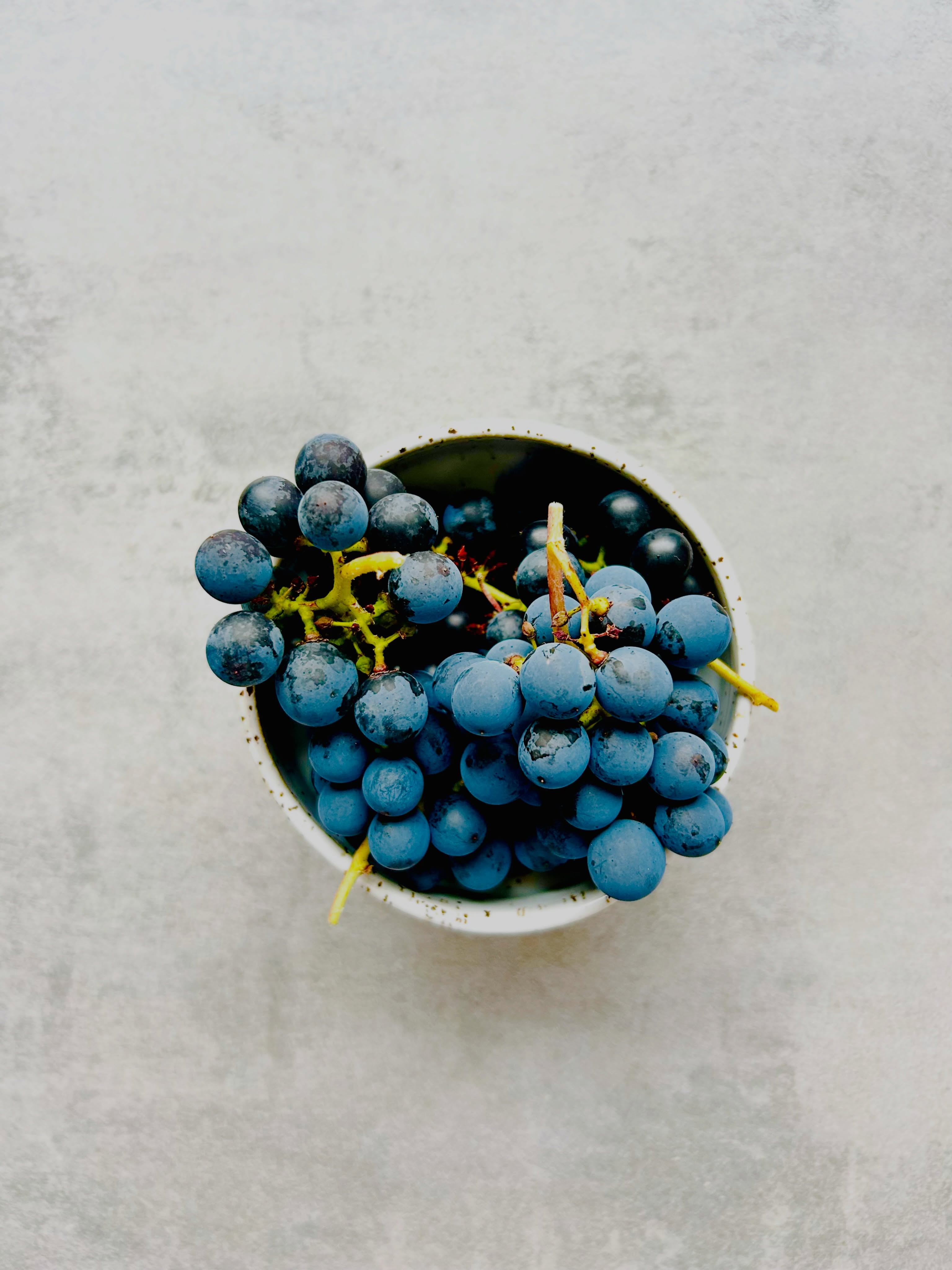 Meine erste eigene Weintraubenernte.
·
My very first grape harvest!
#keramik
#Drehscheibe
#geschirr
#design
#Workshop