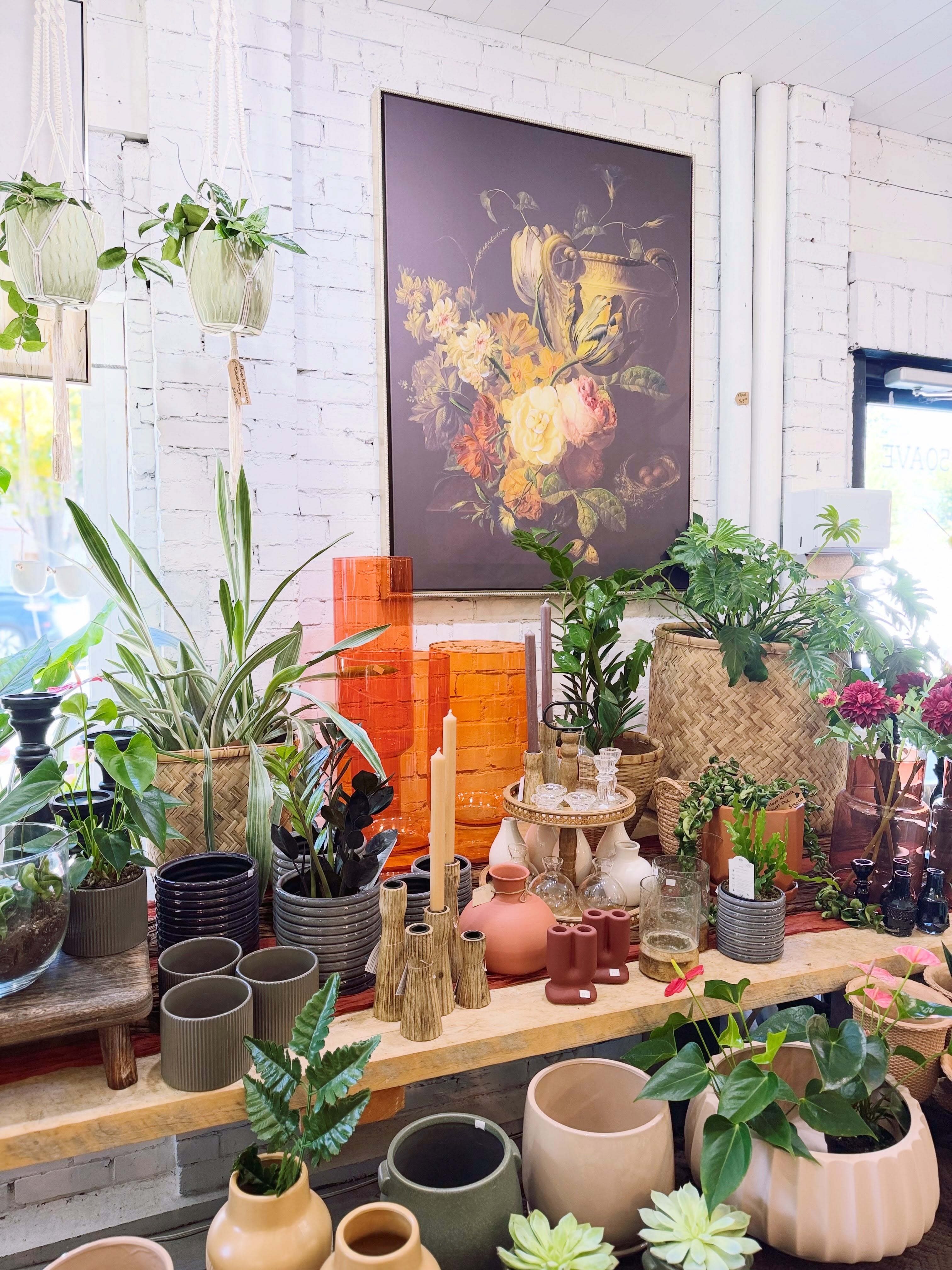 🌿 Dutchess Flower Company — not your ordinary flower shop. 🌿
Nestled in the heart of Lacombe in a beautifully restored historic building, Dutchess is a place to wander, discover and feel inspired.
Fresh flowers, custom arrangements, beautiful plants, home styling, unique décor and those little treasures that make a space feel like home. 🌸🪴
We’re a small, independent business with a caring and knowledgeable team who truly love what we do — creating beautiful things for all of life’s occasions, big and small.
Come in for flowers, stay for the inspiration… and enjoy the Dutchess experience. 💛
Open Saturday 10–4
📍 Downtown Lacombe