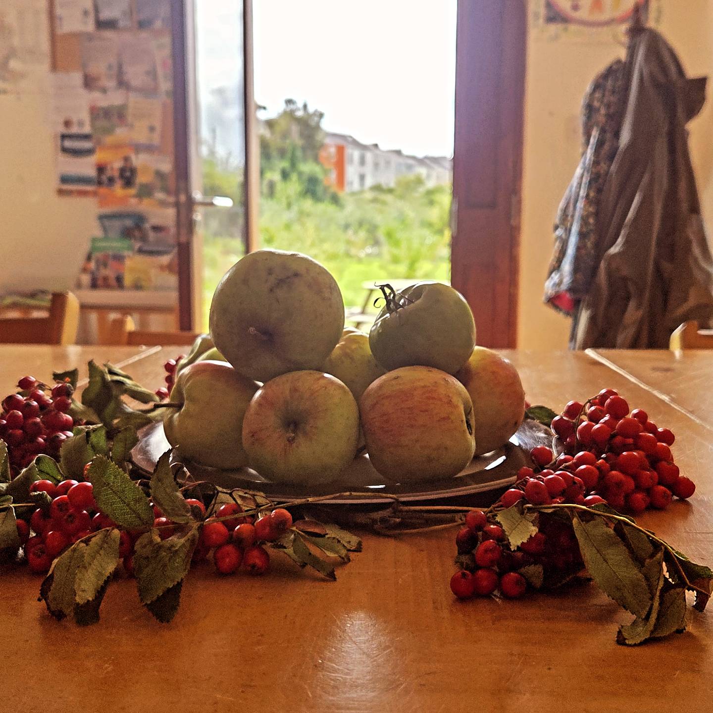 Love this time of year! Apples from one of our volunteers and rowan berries leftover from @bigsis.cic Confidence Club (weekly on a Tuesday- check it out!)
Gorgeous!