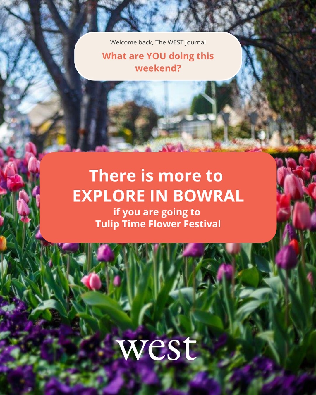 Are you going to TULIP TIME FLOWER FESTIVAL in Bowral?
There is more to EXPLORE, make it a whole day out with The WEST Journal App.
Start at Corbett Gardens for 60+ years of blooms, then wander Bong Bong Street for a coffee stop at The Hungry Monkey. Lunch at Genki Poke. For the curious - as you stroll through town a little more you will discover antiques at Dirty Janes. After a day of exploring a cheeky drink at the Berida Hotel is fitting.
Tulips, treats, hidden gems and a proper day trip.
Explore the full Tulip Time itinerary on The WEST Journal App.
WEST – Decision Made.
#tuliptimefestival #travel #thewestjournal #bowraldaytrip