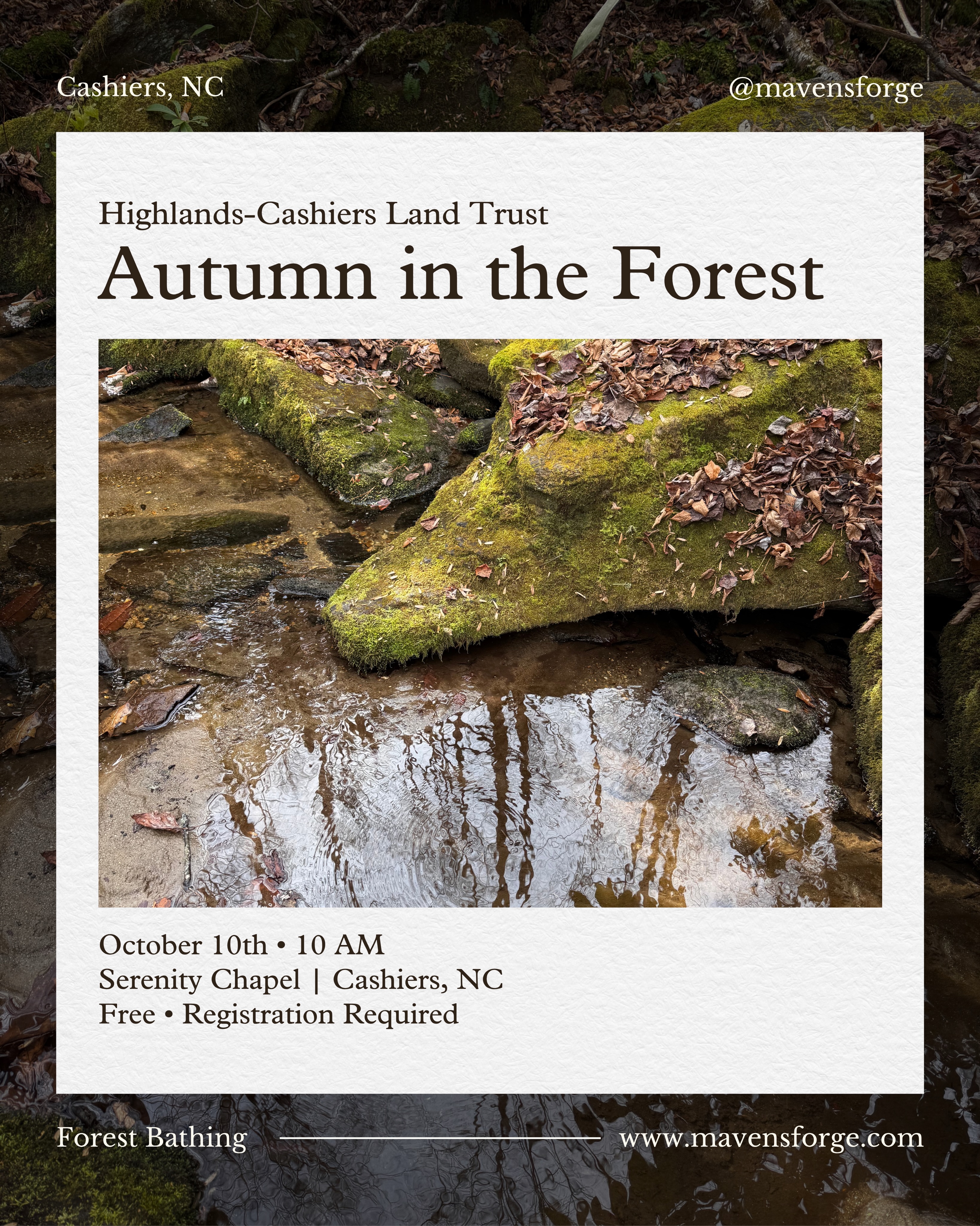 The forest is beginning to change, and I’d love to invite you to slow down and experience the beauty of the season with me.
Join Maven’s Forge and Highlands-Cashiers Land Trust for a guided forest therapy walk at Serenity Chapel in Trillium.
Together, we’ll wander at the pace of the forest, follow our curiosity, and make space to notice the little things that autumn invites us to experience.
Serenity Chapel | Trillium, Cashiers, NC
Saturday, October 10 | 10:00 AM
Space is limited, and registration is required through Highlands-Cashiers Land Trust.
Head to the Events page on my website to RSVP! 🍂
#highlandscashiersplateau #cashiersnc #blueridgemountains #lakeglenvillenc #forestbathing