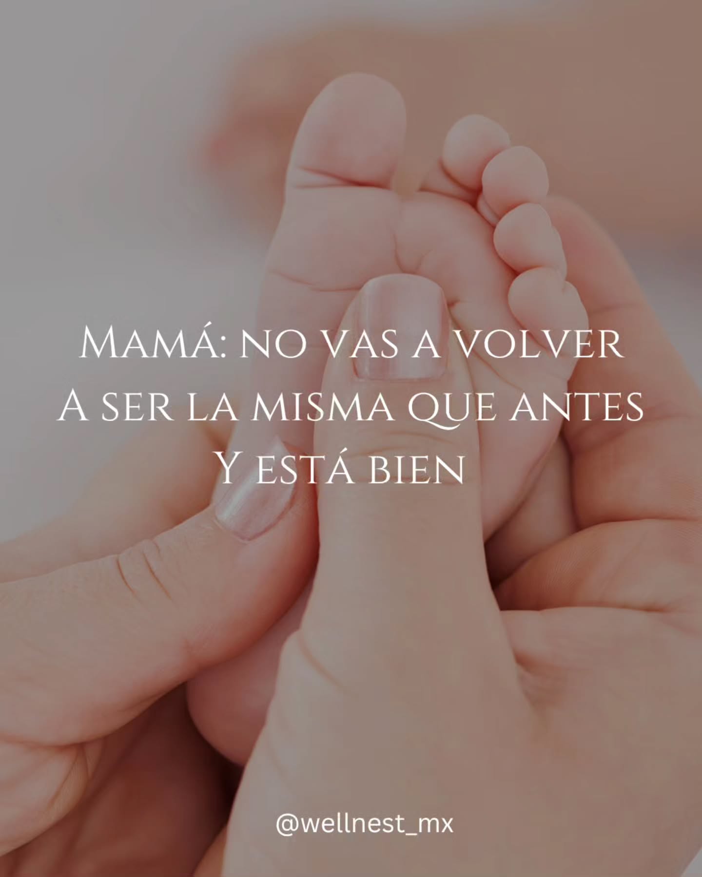 Mamá: la maternidad te va a cambiar en TODO sentido
En lugar de ver atrás y pelearte con esta realidad, abraza a la mujer que eres hoy y busca como REALIZARTE y sentirte PLENA en esta nueva etapa de vida
Aqui te acompañamos para que físicamente busques la versión más fuerte de ti misma en tu postparto con los MEJORES programas de rehabilitación postparto en www.wellnestmx.com