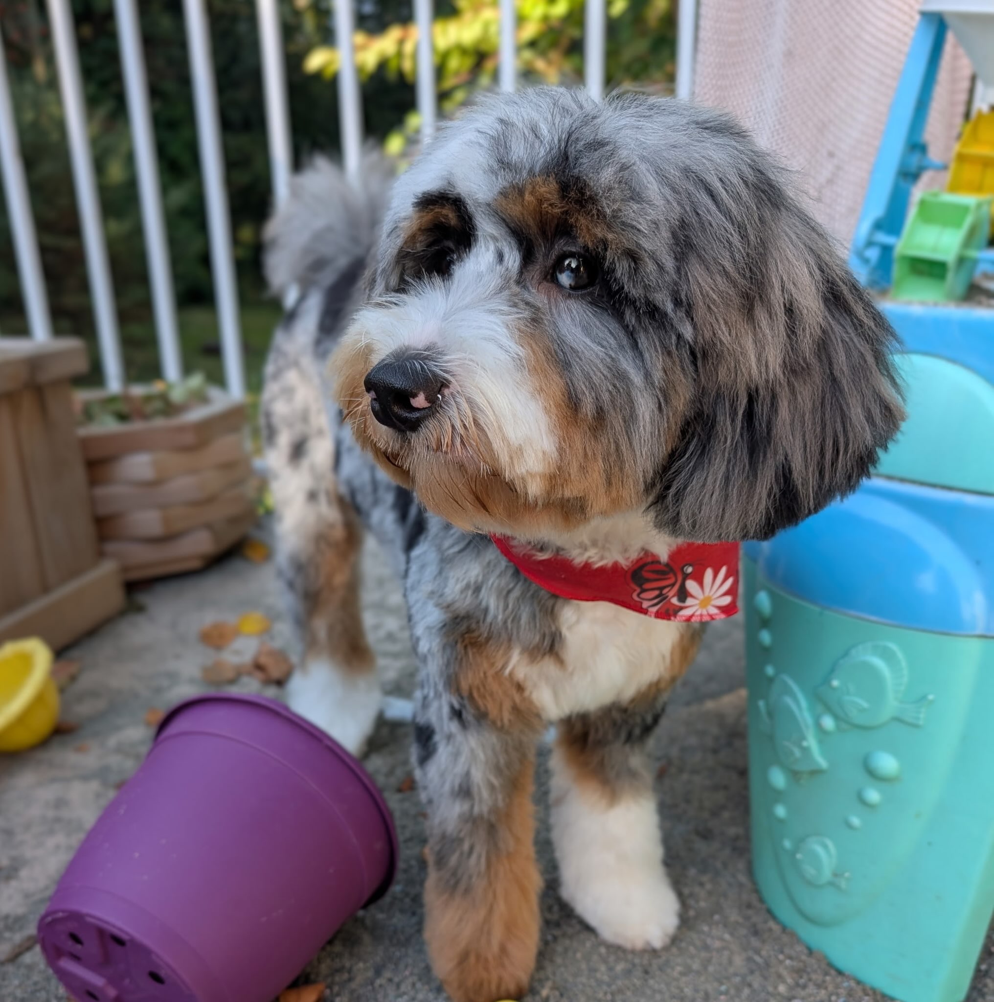 Mabel is a hopeful future mom! She’s such a little sweetie and soooo gorgeous! 🥰