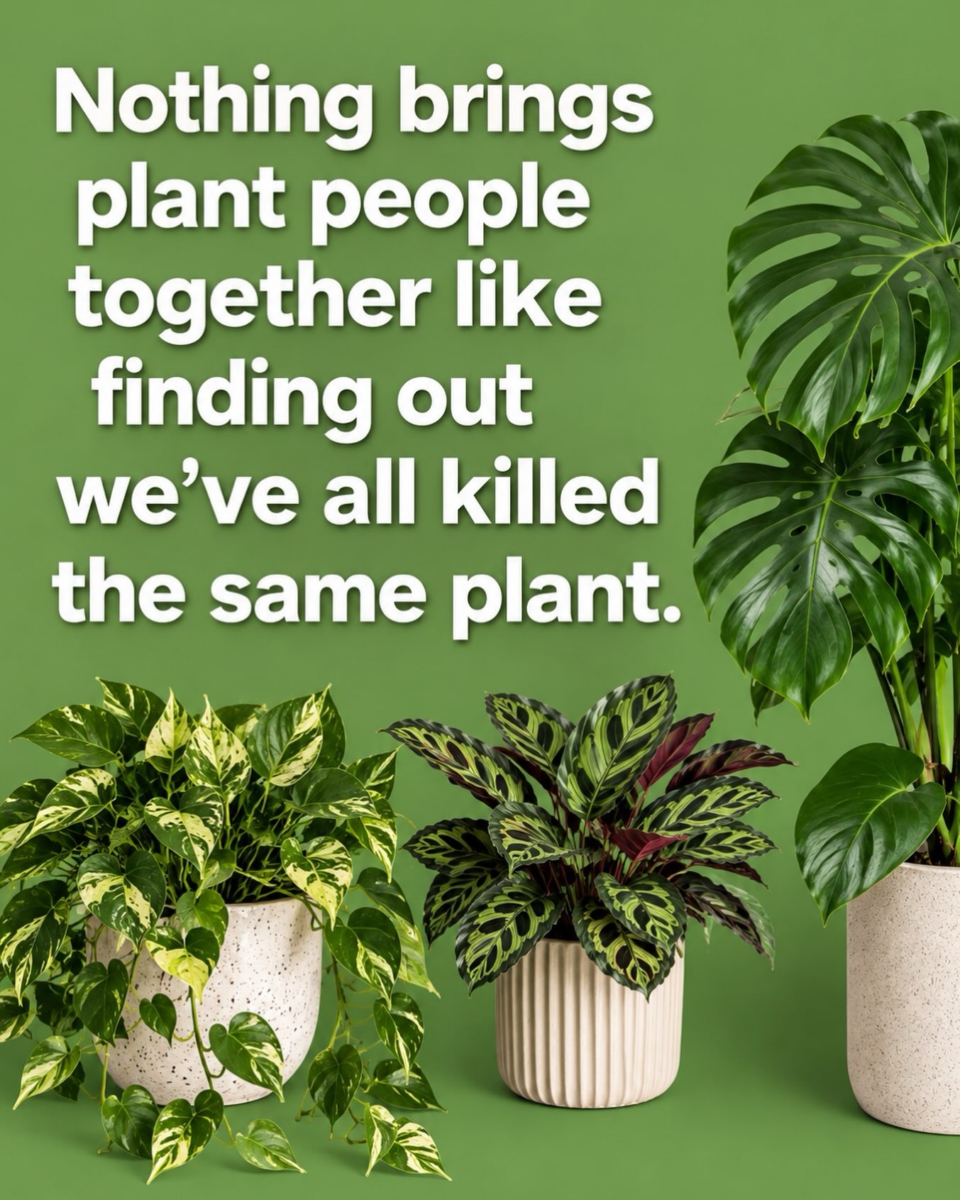 Nothing bonds plant people faster than a shared confession: “Oh, you killed yours too?!” 😂🪴
Consider this your reminder that even the most devoted plant parents have a few fallen soldiers in their past. Overwatered it. Underwatered it. Gave it too much sun. Not enough sun. Looked at it wrong on a Tuesday. We’ve been there. 😂
No judgment here—just more plants and another chance to try again. 🌿
Come see us at Calvert’s… where your next emotional attachment is waiting. 😉
#calvertsplantinteriors