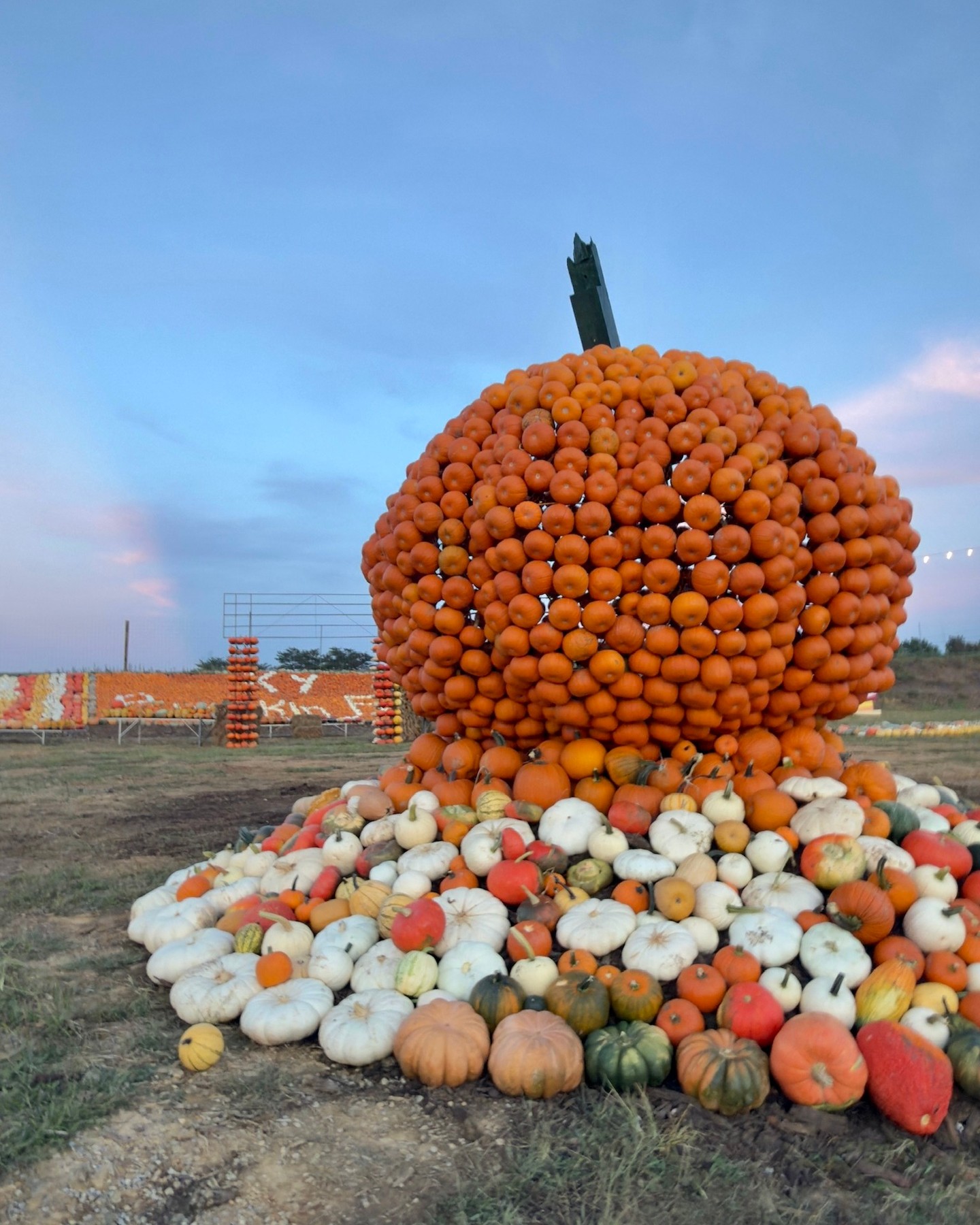 Kentucky Pumpkin Fest is HERE, and Bear Wallow is packed with all things fall! ๐๐ป
Now open Saturdays & Sundays!
Pick your favorite flowers and pumpkins, enjoy all the attractions, grab something delicious, snap the cutest pics, and make a day full of fall memories! ๐ค
๐๏ธ Grab your tickets and come join the fun! bearwallowfarms.com/fall-admission