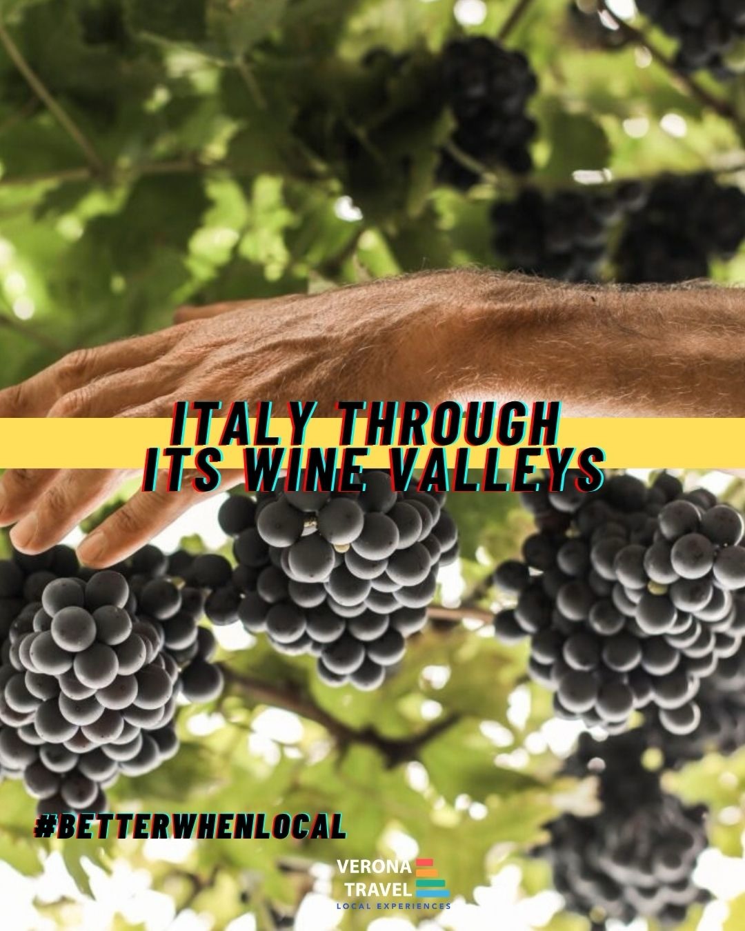 Wine in Italy has a different soul in every region.
From the vineyards of Piedmont and Veneto to the hills of Tuscany, the sparkling wines of Franciacorta, the sun-soaked estates of Puglia and the volcanic slopes of Sicily, every wine landscape tells a different story.
With Verona Travel, wine can become the starting point for a tailor-made journey, combining private tastings and winery visits with local cuisine, culture, villages and amazing landscapes.
Choose your region. We’ll create the entire experience around you.
👉 Discover more at our link in bio.
#VeronaTravel #ItalianWine #WineTravel #italy🇮🇹