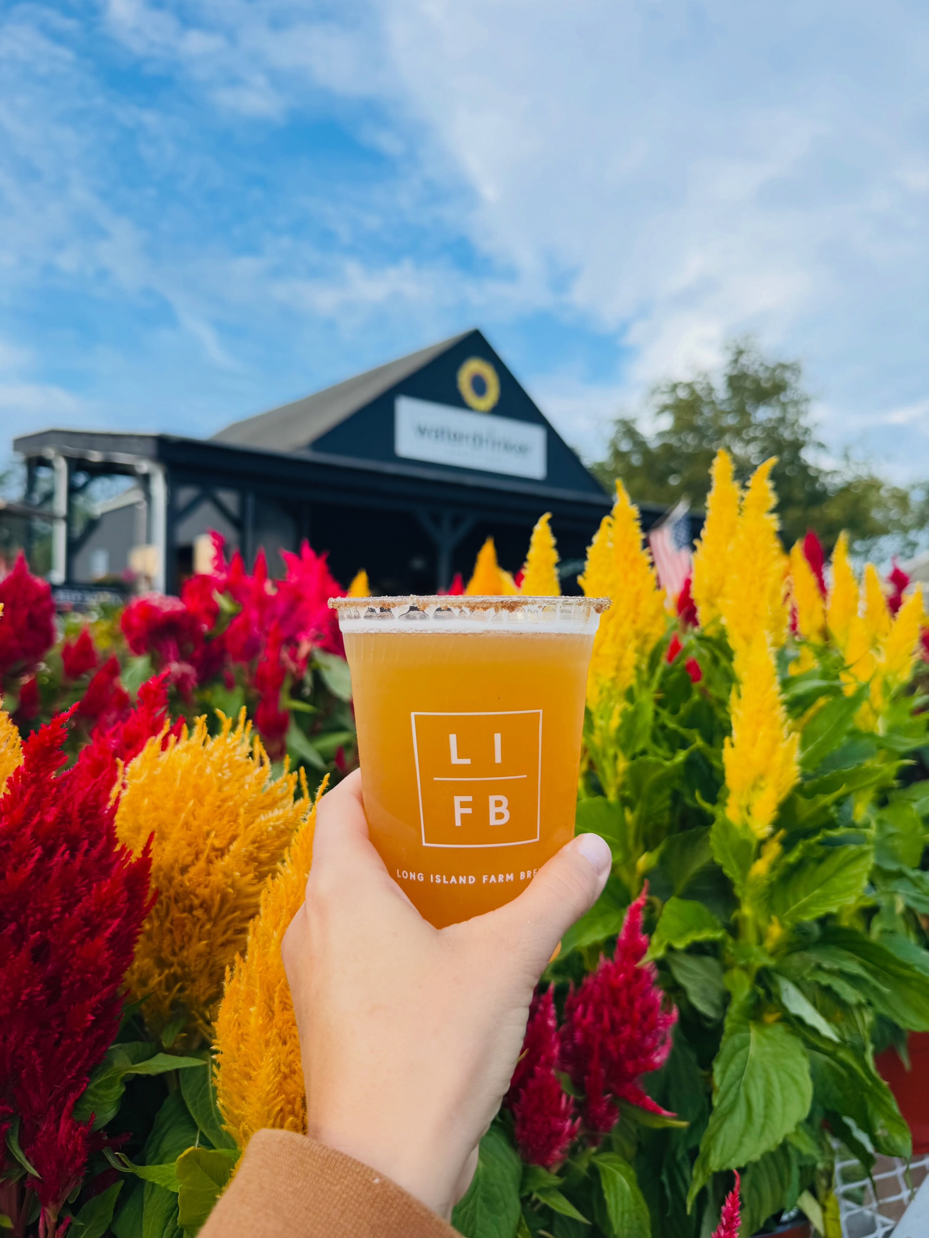 Waterdrinker North Fork is home to the LIFB Beer Garden! Come and visit us! OPEN THIS MONDAY TOO!
📍 4560 Sound Avenue, Riverhead NY 11901