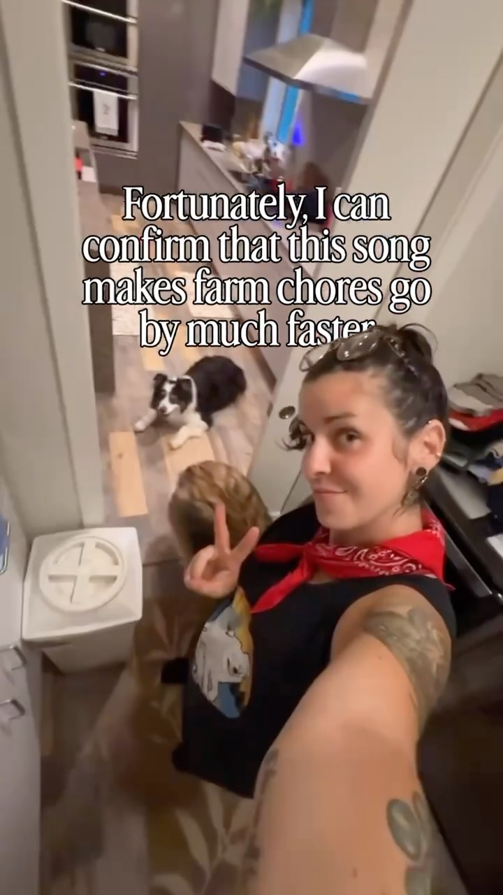 Okay, it couldn’t just be Darla hoping on this trend.
Owning a farm does mean being a part of the sun up to sun down club and don’t get me wrong, it doesn’t always look like this much fun but there is always this much fun to be had.
Any other farm owners in the chat that can relate?