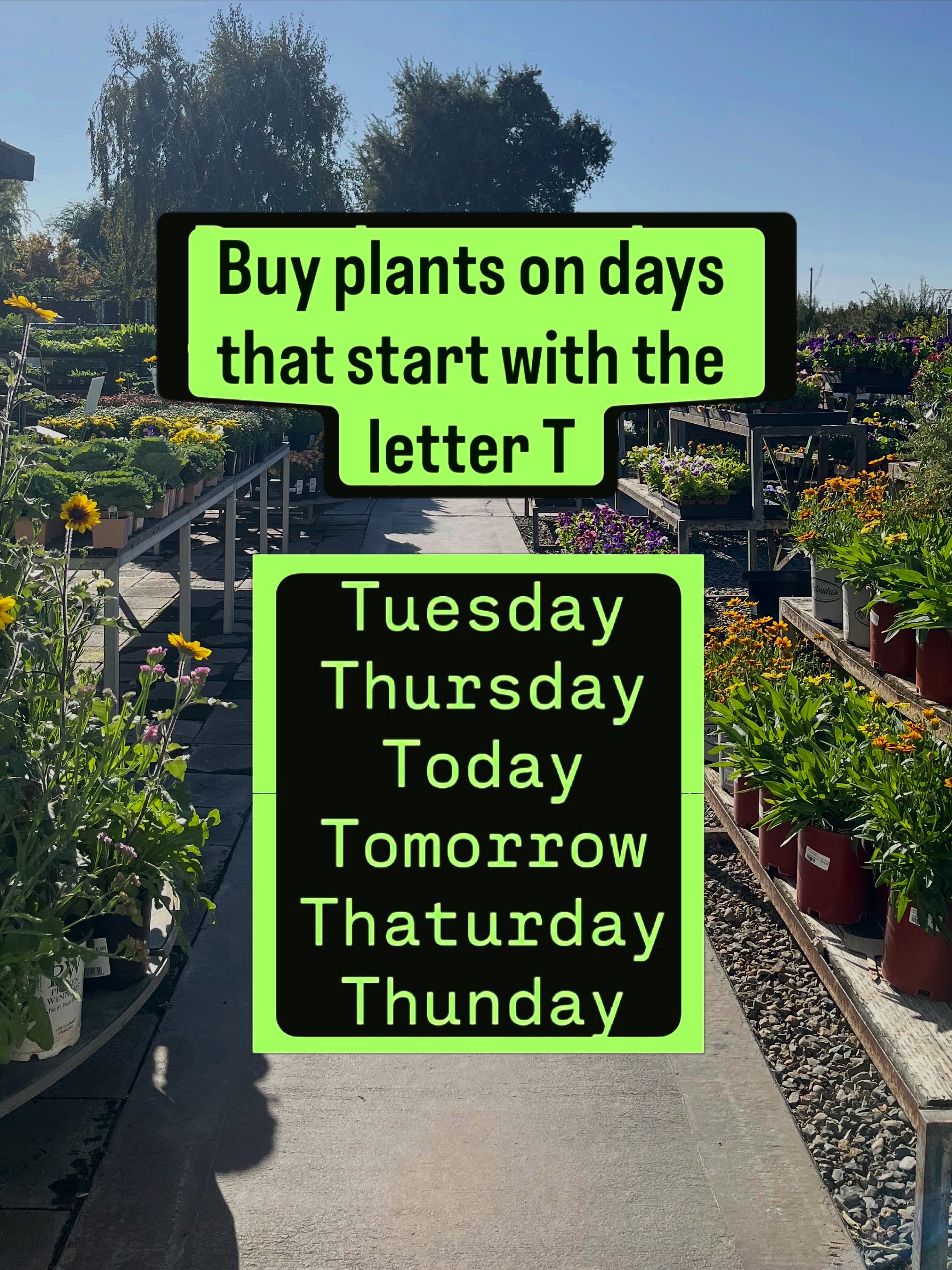 Everyday is a great day to buy plants. 🪴
And you already know where to buy the best. 🏆 Morris Nursery is at 1837 Patterson Rd in Riverbank. Open every day until 5pm.