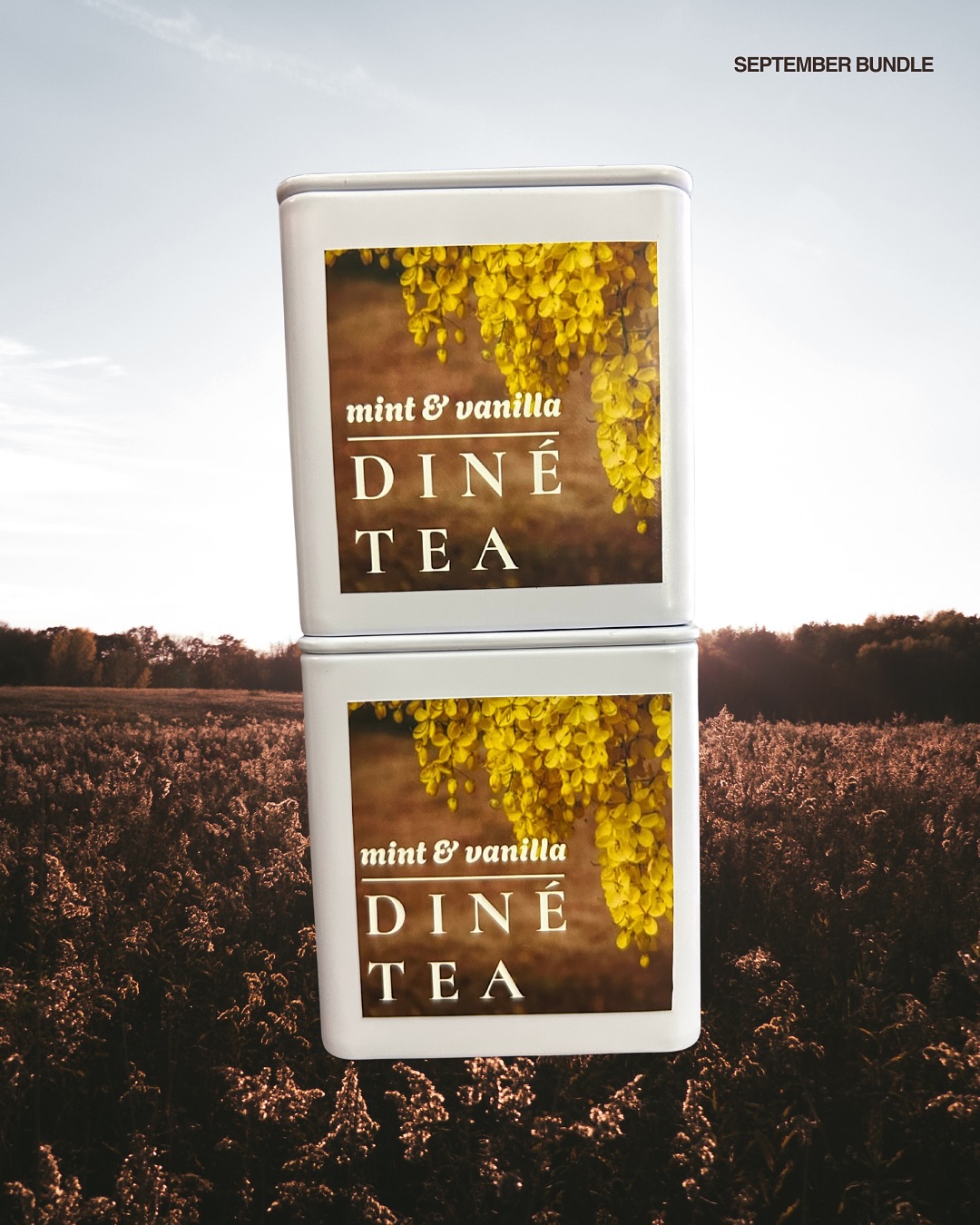 Our September Bundle is now available for shipping! Itโs a cozy self-care treat designed to make your tea time feel extra special.
Each bundle includes:
๐ต 2 pre-packaged tea bags ready for steepingโ Fresh, earthy Dinรฉ tea with hints of mint and vanilla. Respectfully harvested from Dinรฉ Bikรฉyah.
๐ป 1 Sunflower tea bag coaster
๐ฏ 2 honey sticks