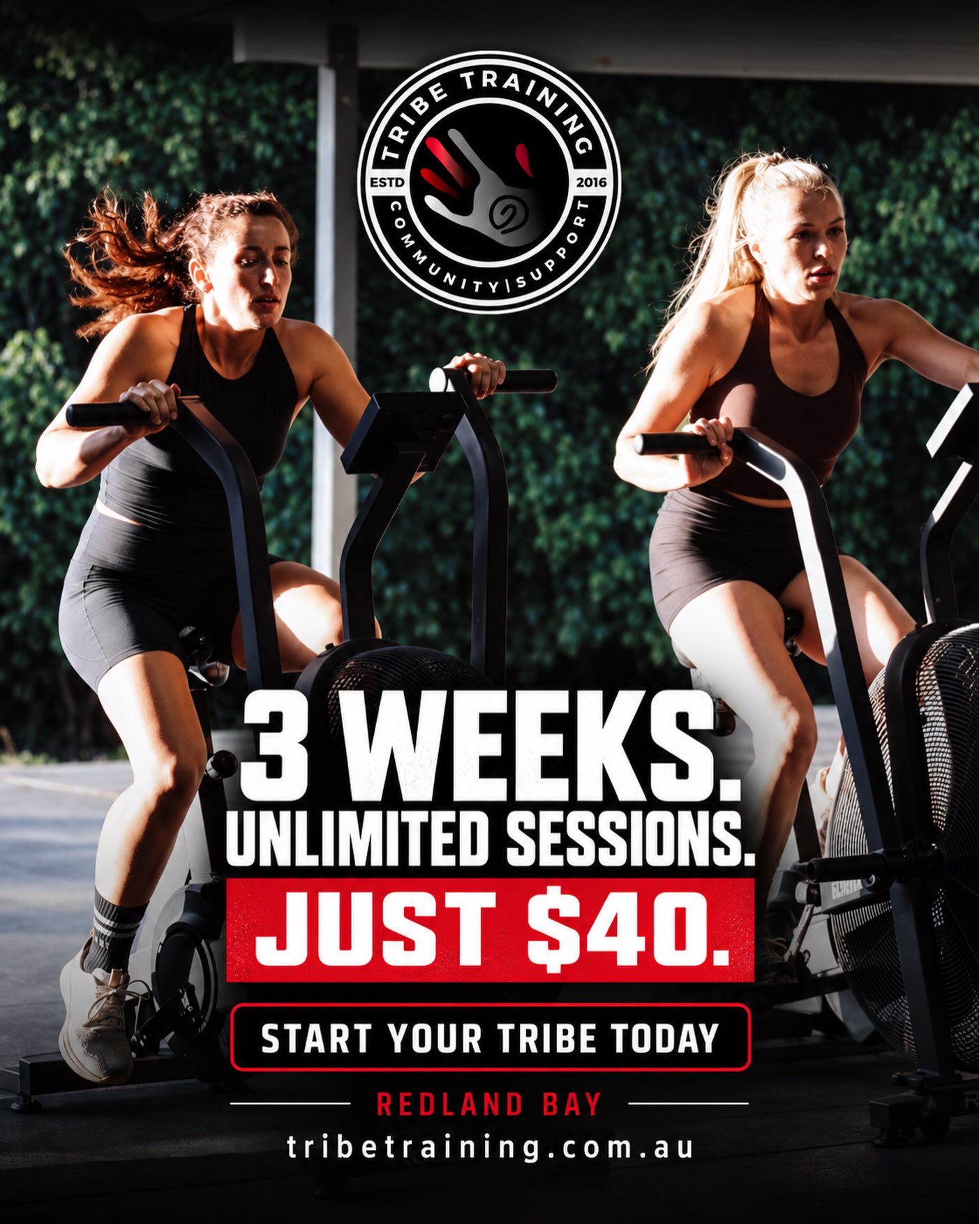 🔥 3 WEEKS. UNLIMITED SESSIONS. JUST $40. 🔥
Come and experience real supportive coaching, purposeful training and the community that makes Tribe different.
✅ Unlimited group sessions
✅ Suitable for all fitness levels
✅ Strength, fitness and plenty of variety
✅ A community that backs you
No mirrors. No egos. Just good people putting in the work—together. ❤️🖤
📍 Redland Bay
👉 Start your today: https://www.tribetraining.com.au
#Tribelife #Redlandbay #Movedaily