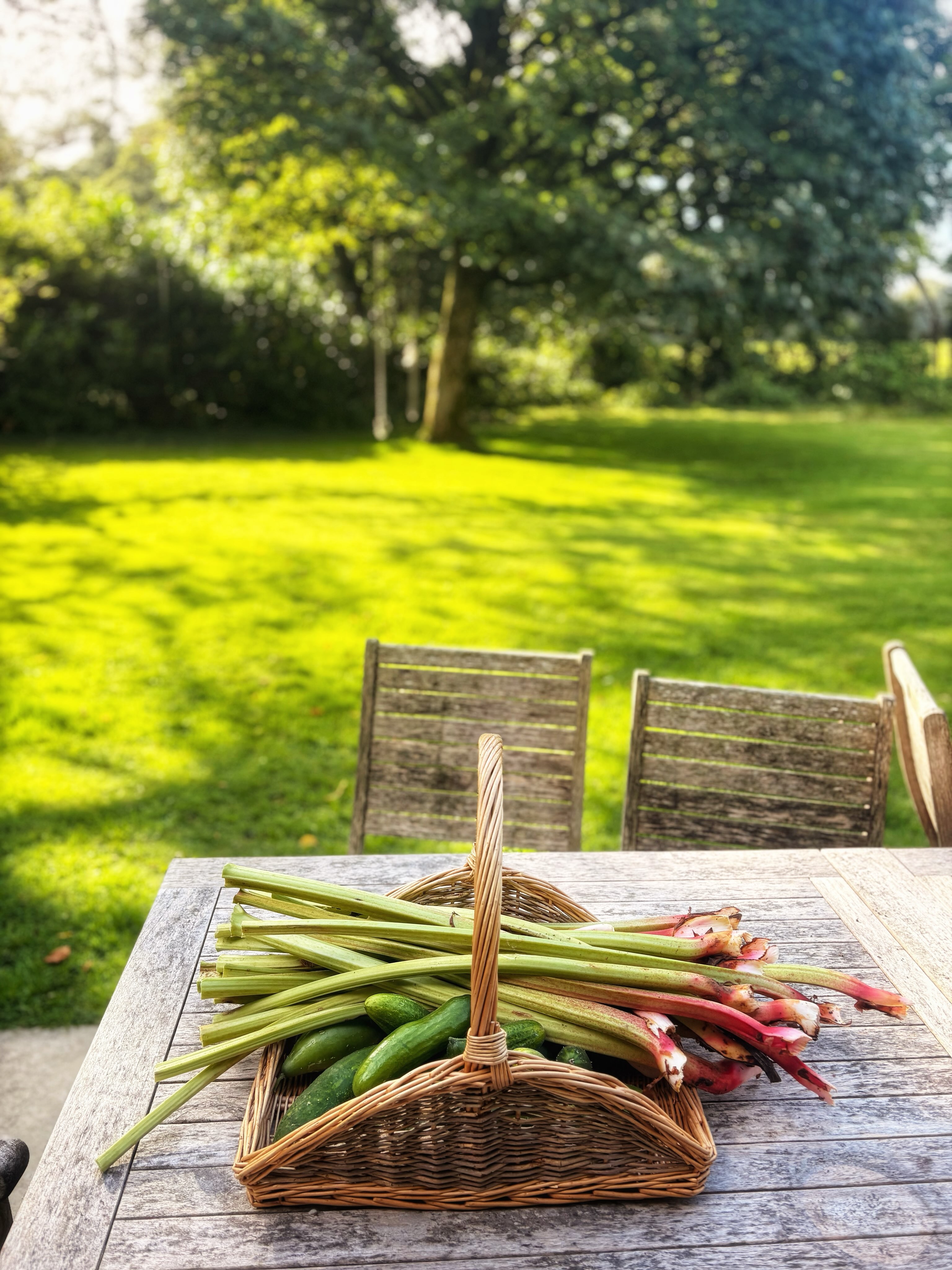 Time to get into my garden and preserve some of this bounty for winter! Roasted off tomatoes and aubergine and popped them into oil, dried some more fennel, pickled a handful of vine leaves, dried the chilli peppers, froze the rhubarb, made pickles w cucumbers and admired my growing Red Kuri Squash. (Not pictured - I also brined the feta, transferred mascarpone to its final jar, made yoghurt and whipped up some ricotta - all thanks to @kristenallancheese’s teaching. Oh and made a couple of tubs of ice cream!) No time for rest…. love this season!