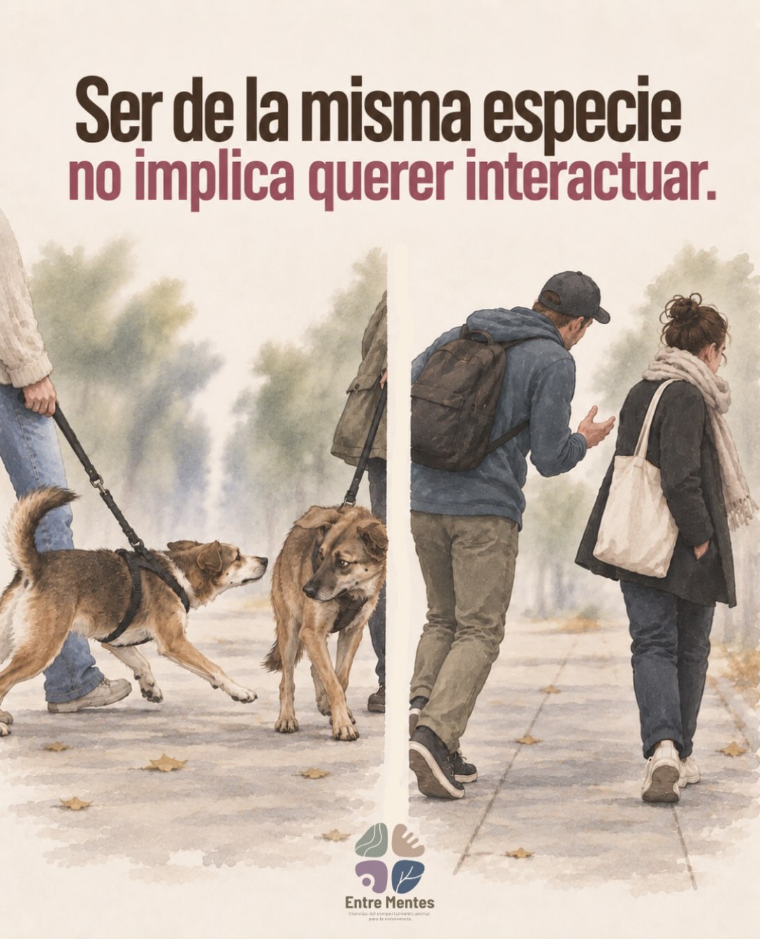 Que tu perro quiera acercarse a otro perro no significa que quiera “saludarlo”. Y mucho menos que el otro quiera esa interacción.
El interés de uno no alcanza para definir una interacción entre dos.
Conocidos y desconocidos no son lo mismo. Y compartir especie tampoco convierte a cada individuo que nos cruzamos en alguien con quien queremos interactuar.
Si esto lo entendemos y nos parece natural entre humanos, ¿por qué nos cuesta tanto con los perros?
