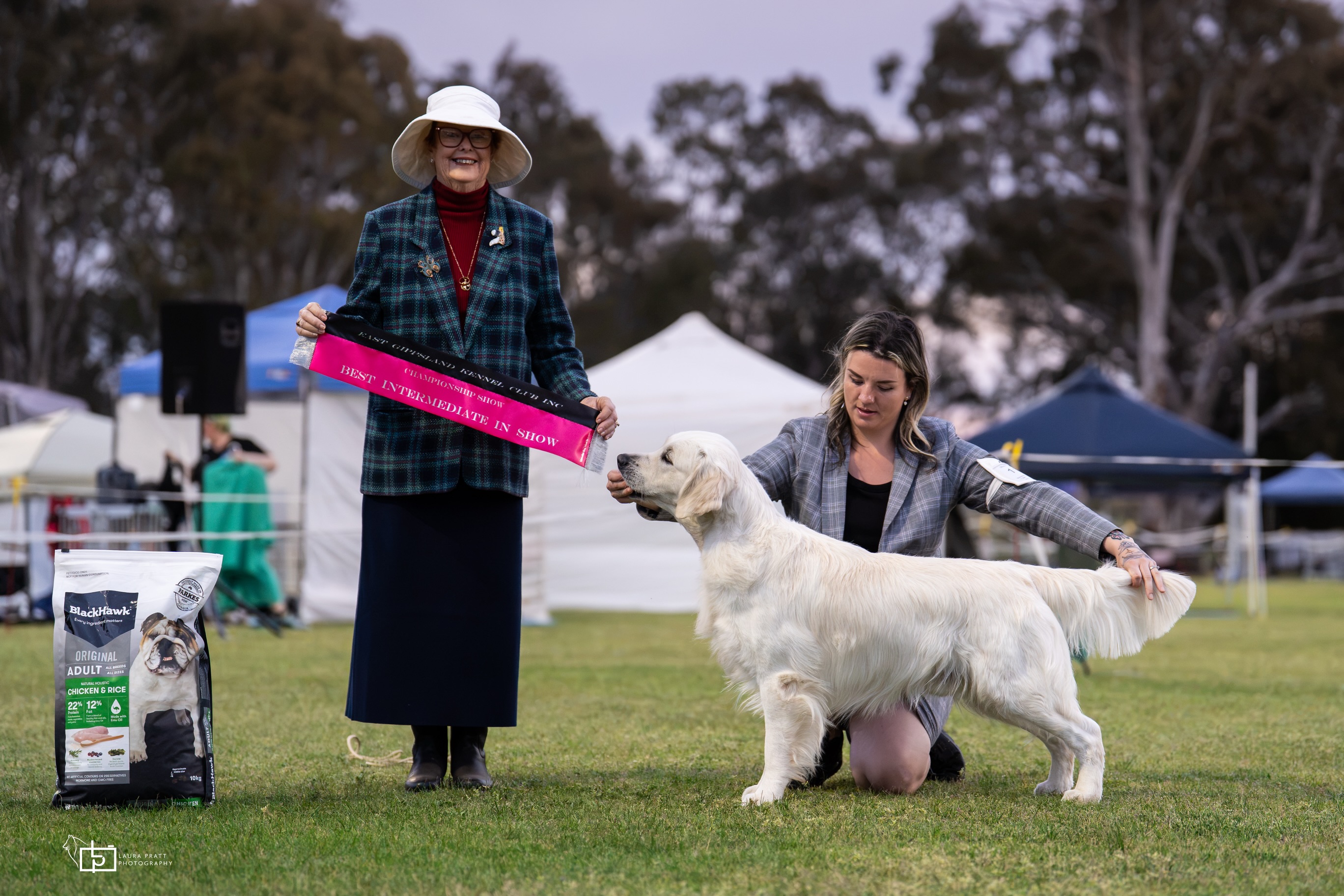Wow what a week! β¨
This week, best friend in tow, we traveled up to Bairnsdale to compete in the Bairnsdale and East Gippsland kennel club shows, while also having a girls trip away. I had a lovely time away with great company and our dogs.
But we also had some amazing results!
π Coda π
Ch Goldshyne Cracked the Code SPRD (dogs vic pending)
On Friday for our afternoon show under judge Dr Karen Hedberg (NSW) we received
BOB and then onto BEST IN GROUP ππ
and onto BEST INTERMEDIATE IN SHOW under judge Mrs Elizabeth Gunter (NSW)
And to top it off, for our Saturday afternoon show under judge Mrs Elizabeth Gunter (NSW) we received
BOB and another BEST IN GROUP πππ
To say Iβm on cloud 9 is an understatement. Iβm so proud of my boy and just love how he loves to be in the ring.
π¬ Lolly π¬
Goldstreem Hokey Pokie
When she wasnβt eating grass she developed a taste for her show ribbons.
At Friday mornings show under judge Mrs Michelle Hammond (QLD) Lolly received
Baby of breed and onto Baby in group π
At the pm show under judge Dr Karen Hedberg (NSW) she received baby of breed
Saturday afternoon Lolly received
Baby of breed and another Baby in group π
β¨ Sparkles β¨
Sparkles went from a crazy tornado ripping around the ring on day one to a happy puppy with the slight sillies on day 3 π just love this girls attitude even though she doesnβt know the word βsteadyβ yet lol
Sparkles received minor of breed at each show and a reserve bitch challenge Friday PM under judge Dr Karen Hedberg (NSW)
Thank you to the judges who awarded my dogs so highly, Iβm absolutely over the moon with our results π₯°