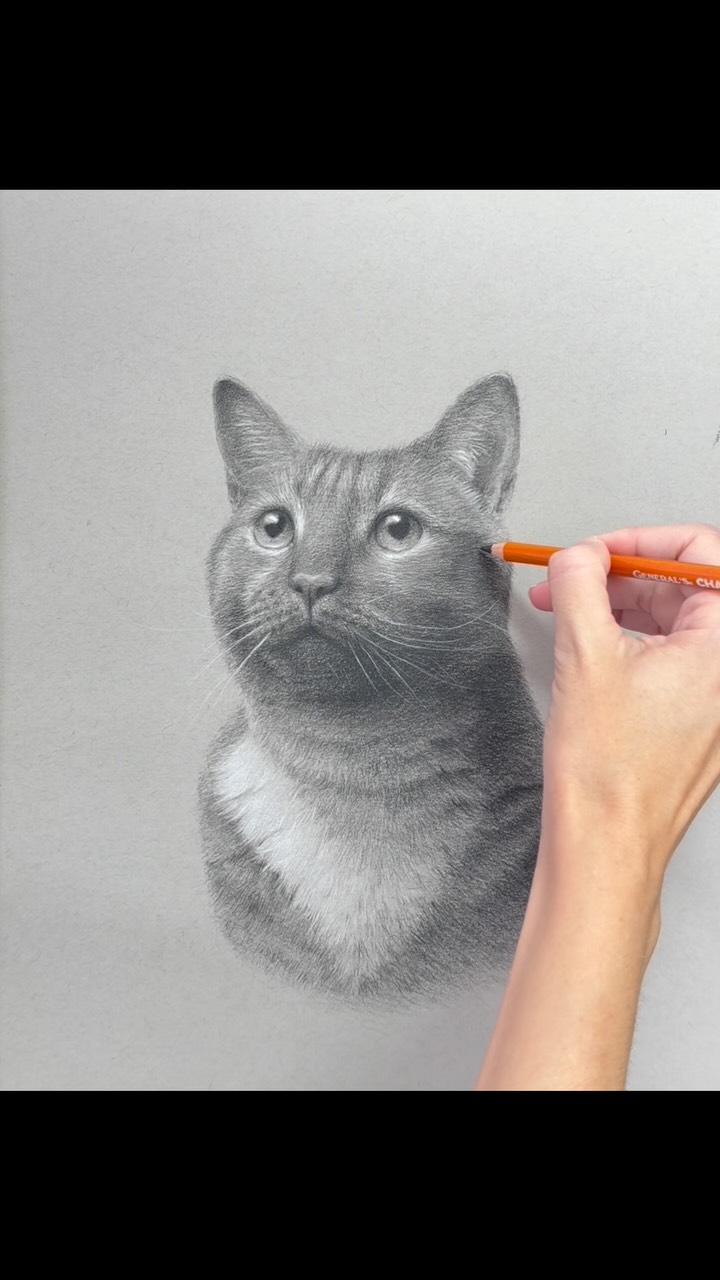 Drawing a cat using my General’s charcoals! Enjoy about 20 hours of my life summed up in this 10 second clip! 😆
Have you ever drawn your pet before? What was the hardest part? Or if you haven’t yet- what is keeping you from trying?!
Here for encouragement and camaraderie- it’s hard! It took many, many years for me to get comfortable with drawing pets, and after all this time I’m still learning! If you want a bit of a jump start to this method of drawing, check out my General’s How to Draw Pet Portraits kit that comes with all the supplies you’ll need as well as step by step video instructions! Why not give it a go?!