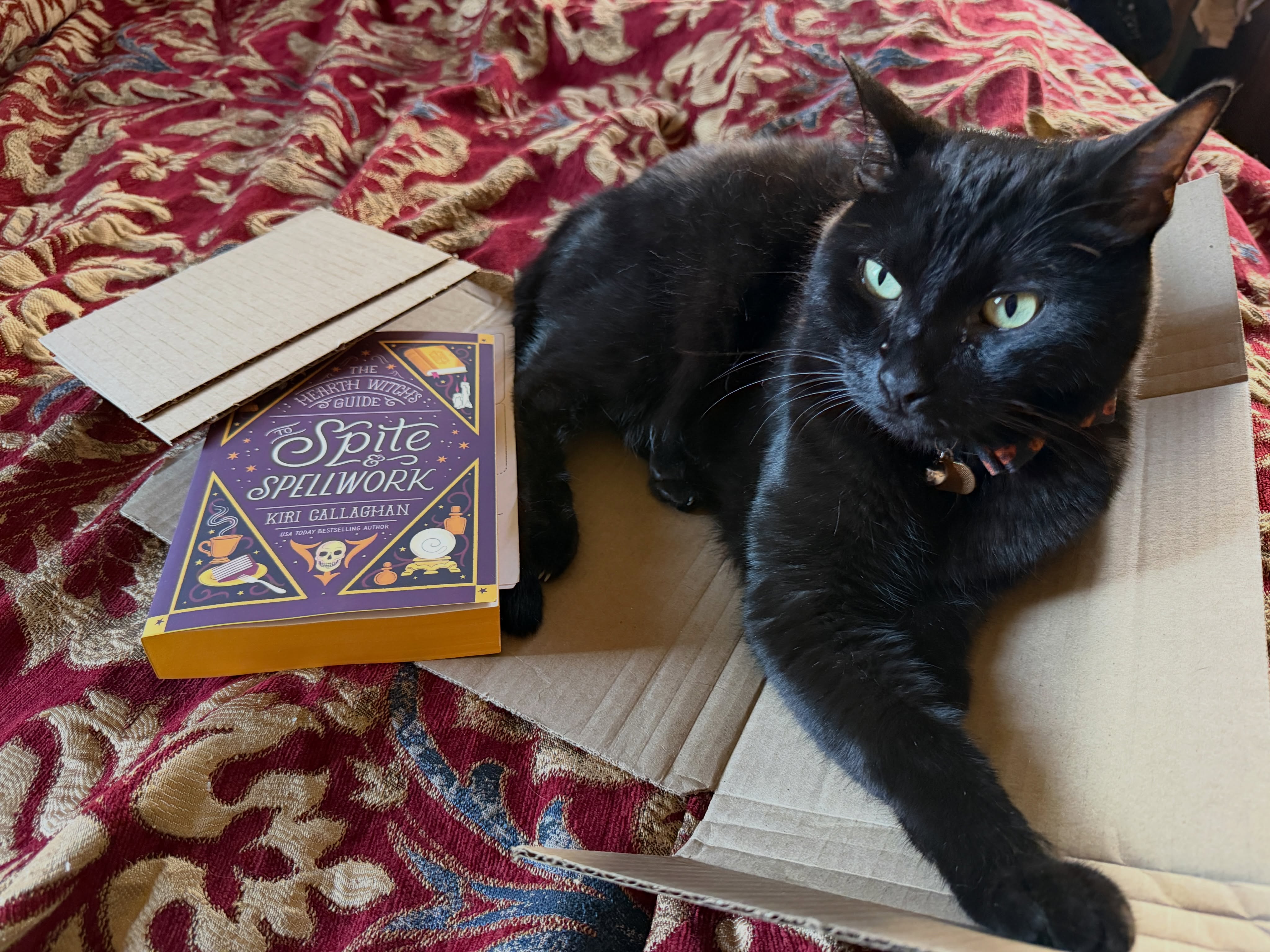 My wife’s preorder came early. Didn’t realize a cat-sith was part of campaign incentives. #books #bookstagram #sapphicbooks
