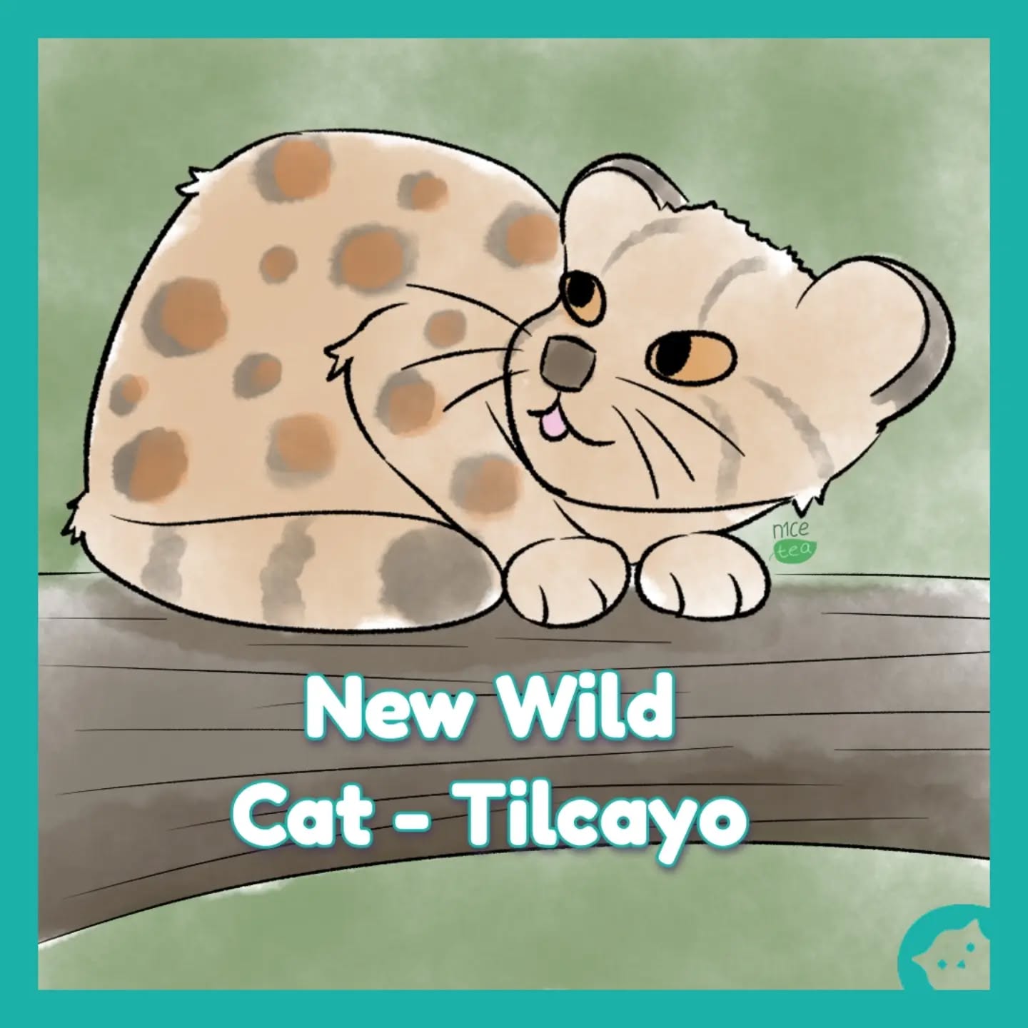 A totally new species of wild cats was discovered not so long ago! Their name is Tilcayo, and they are a bit smaller in size than your usual domestic cat š
.
.
.
#tilcayo #catlife #wildcats #catswoppr #catagency